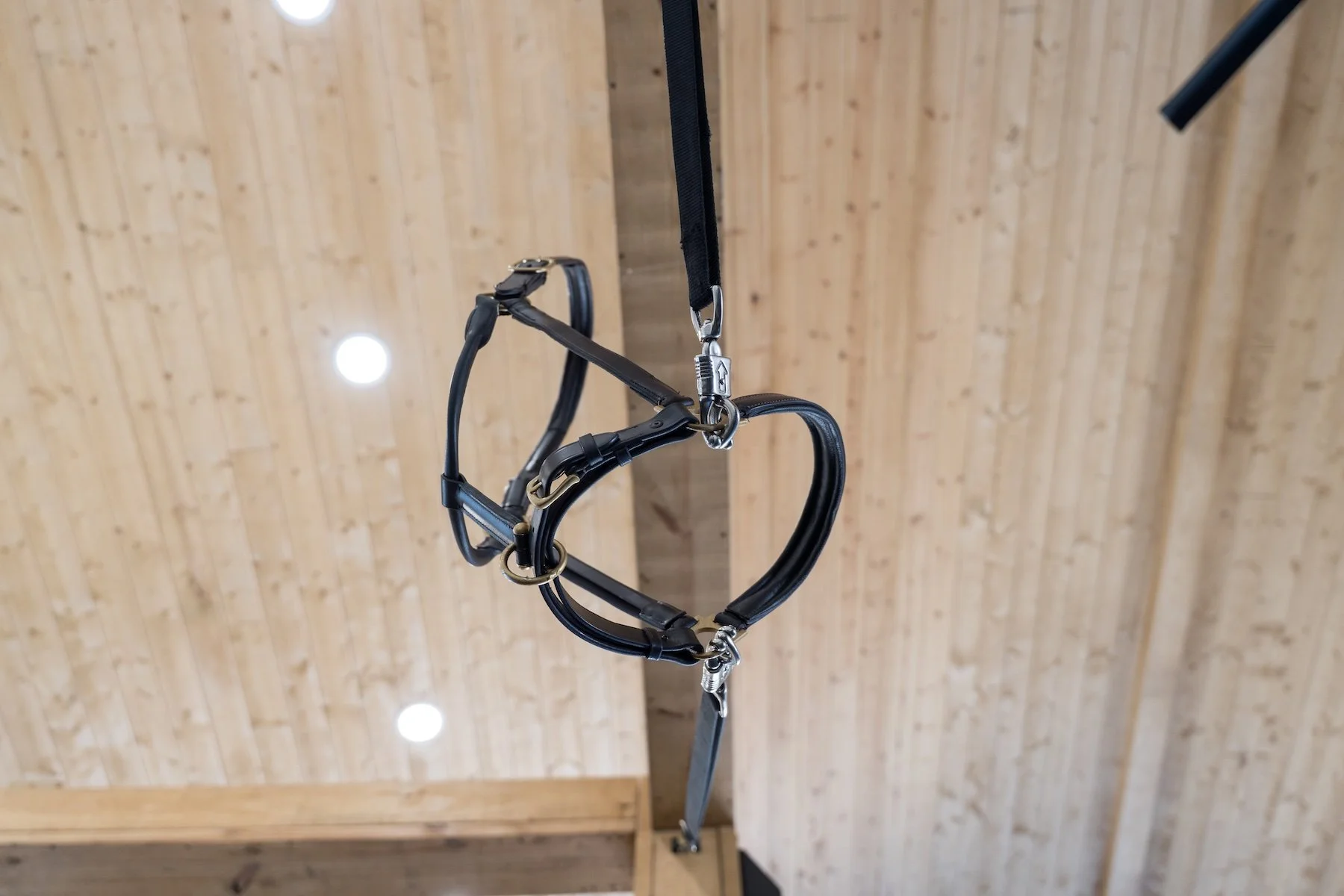 UltraShield(19of195) copy.jpeg