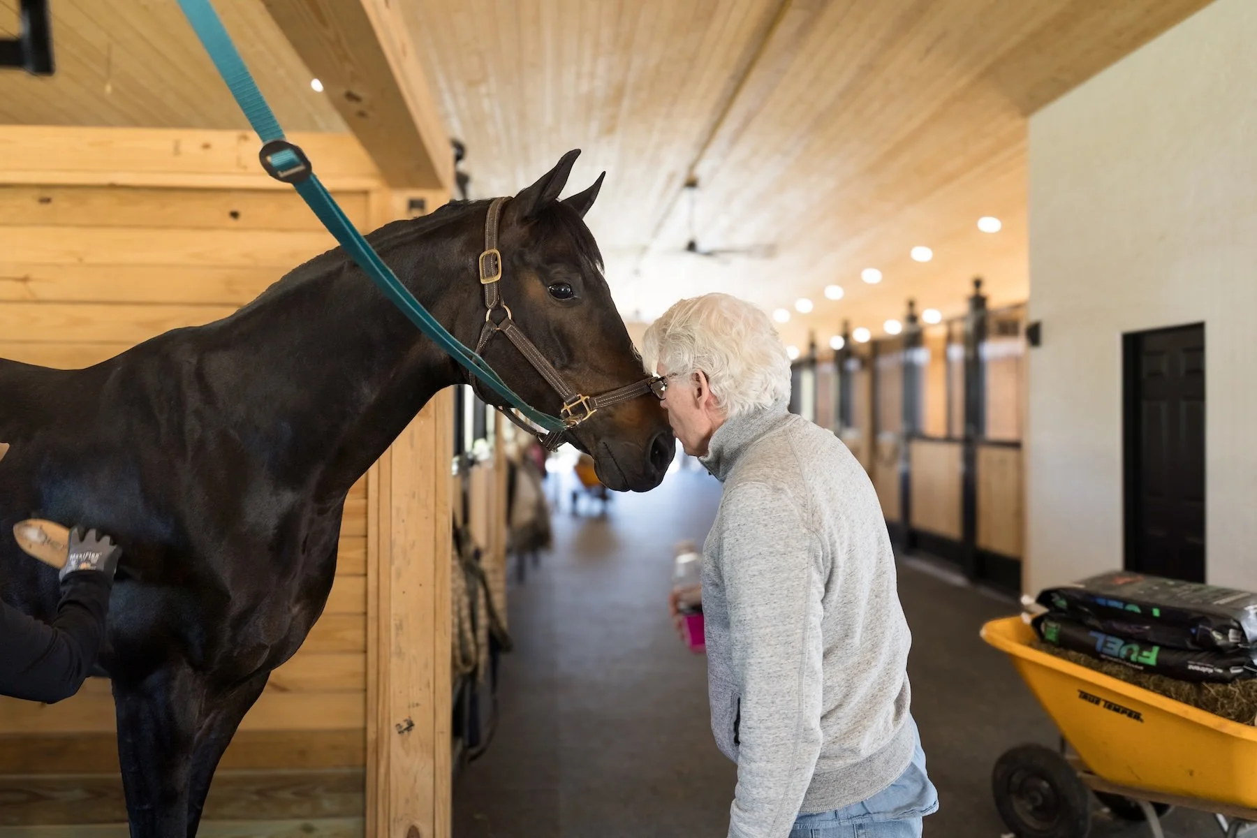 UltraShield(77of195) copy.jpeg