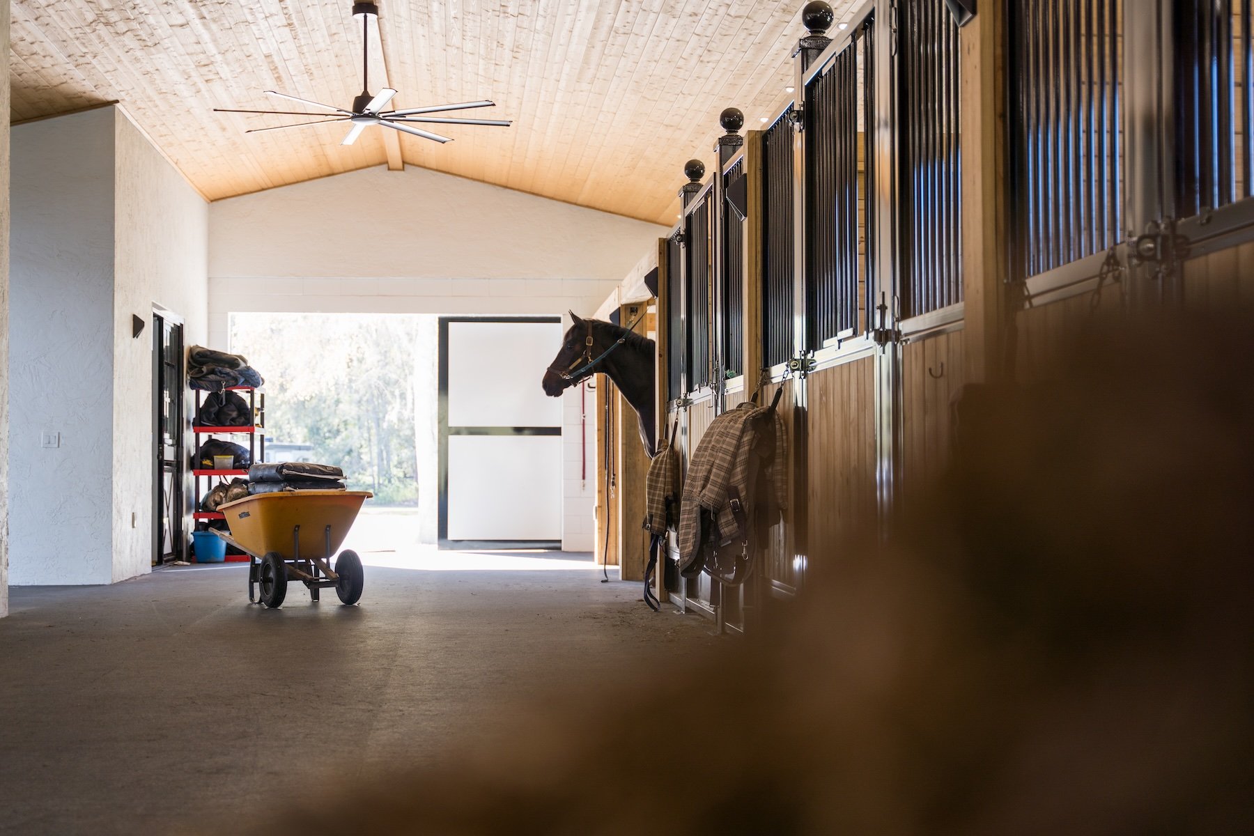 UltraShield(107of195) copy.jpeg