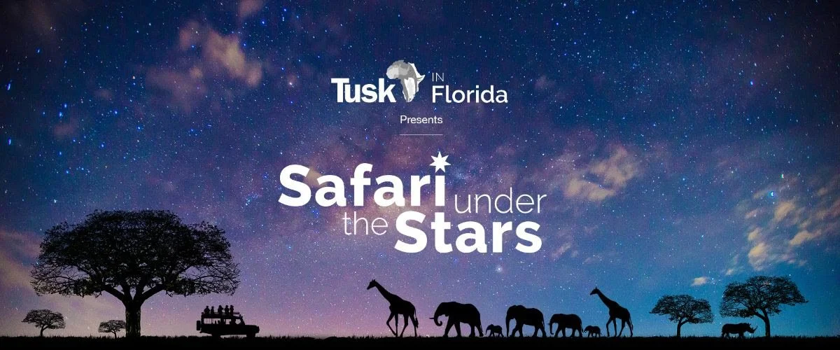 Safari Under the Stars - protecting endangered species and habitats across Africa