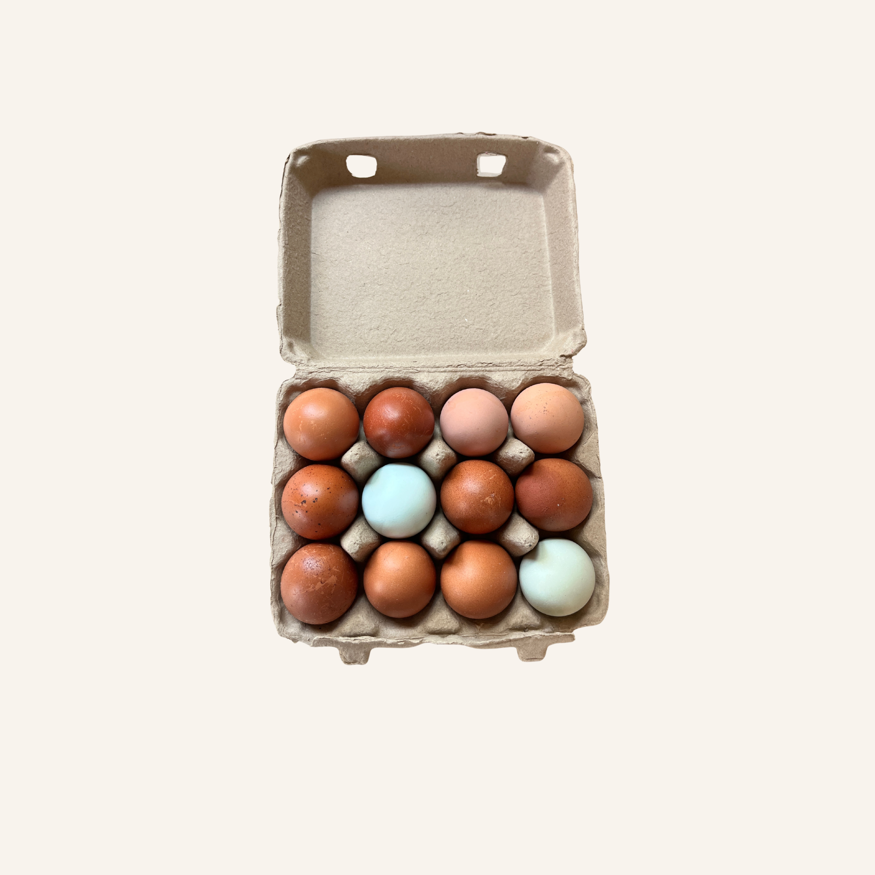 Untitled design (22).png