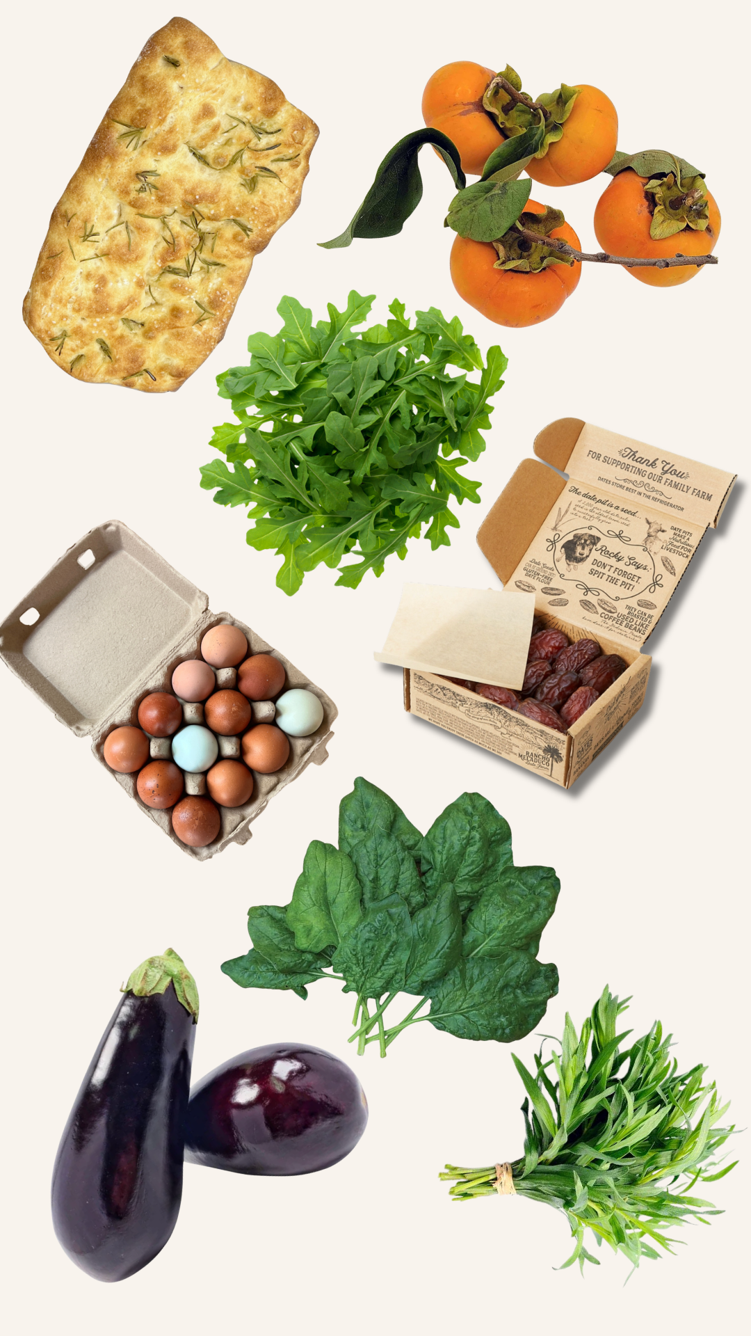 The F.M. 900 Farm Box: A Warm Welcome