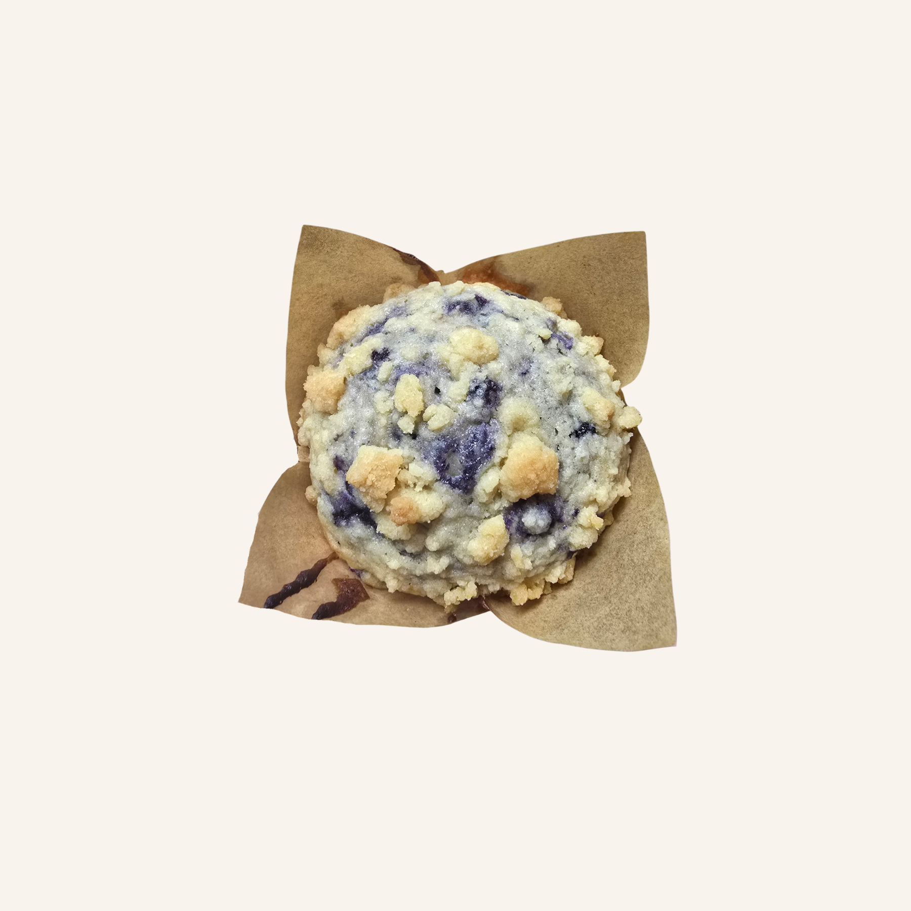 Untitled design (26).png