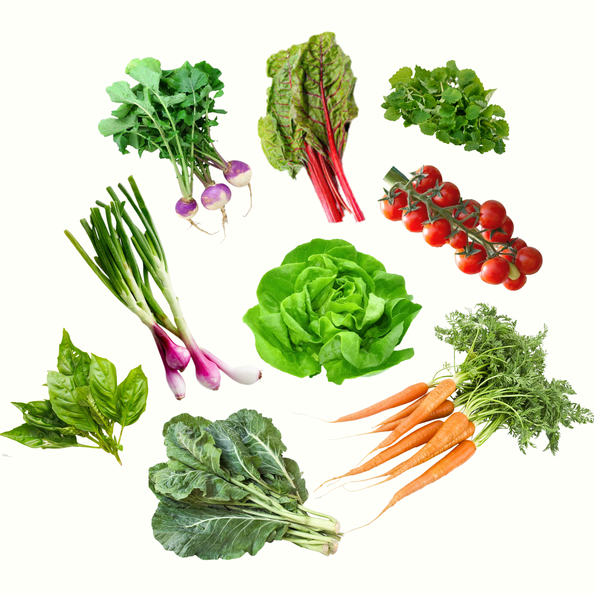 F.M. 900 Spring Produce Bundle