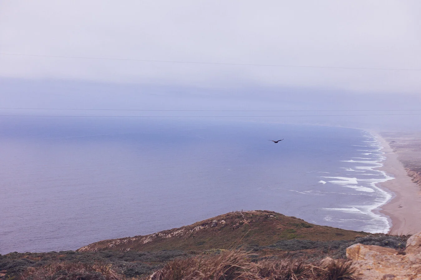 point_reyes_kershaw-01416.jpg