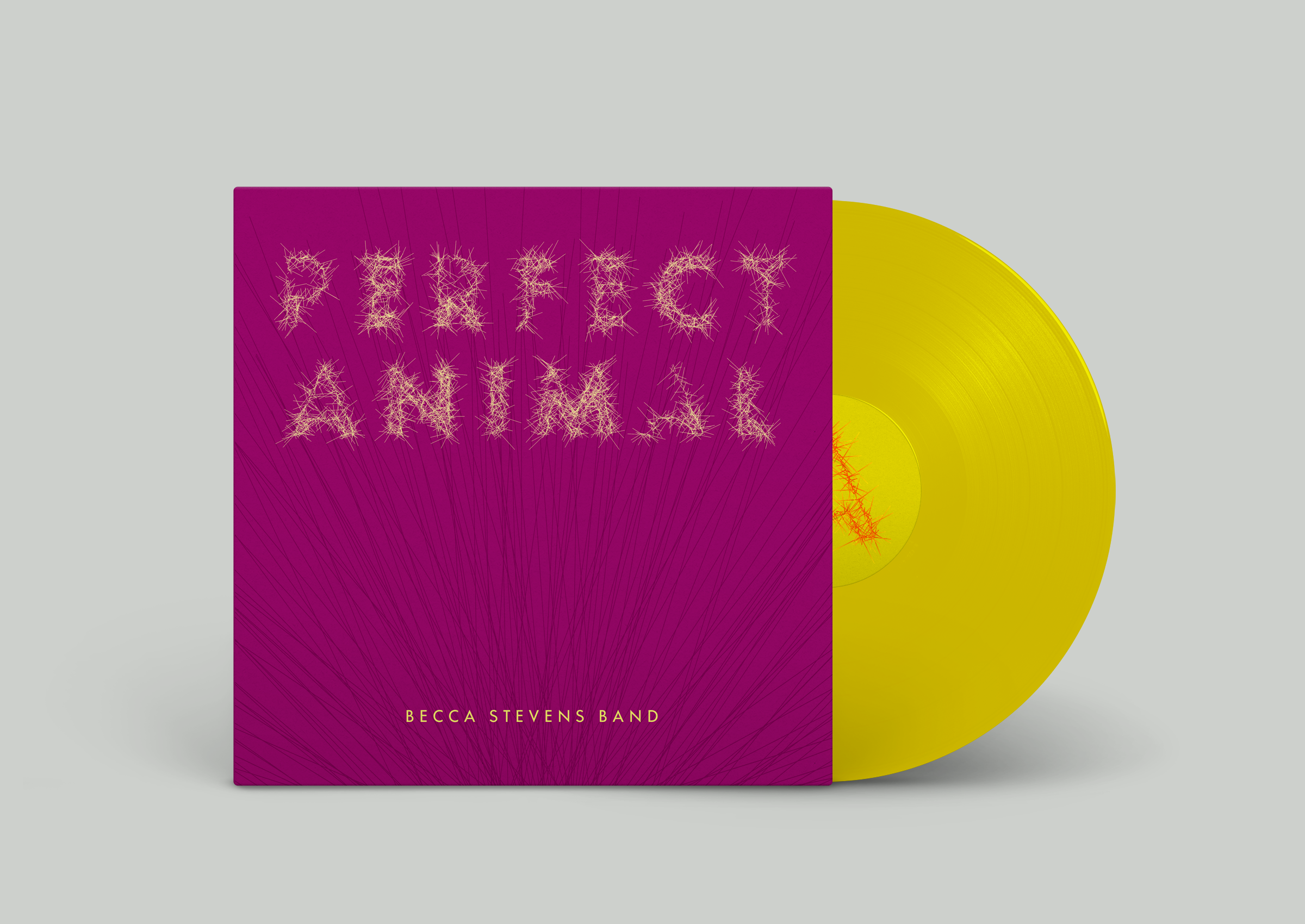 Vinyl Record PSD MockUp.png