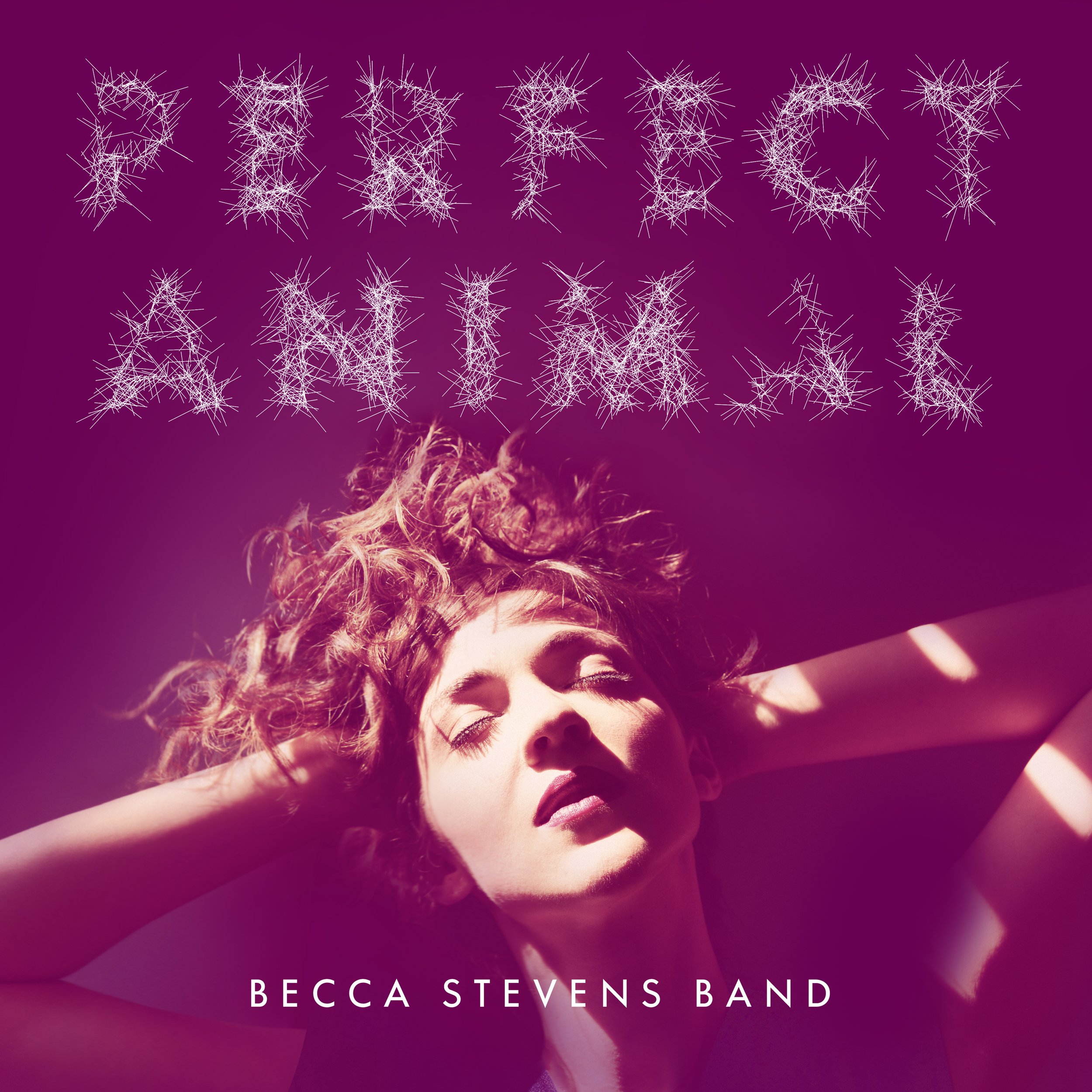 BS_Perfect_Animal_cover_3600x3600.jpg