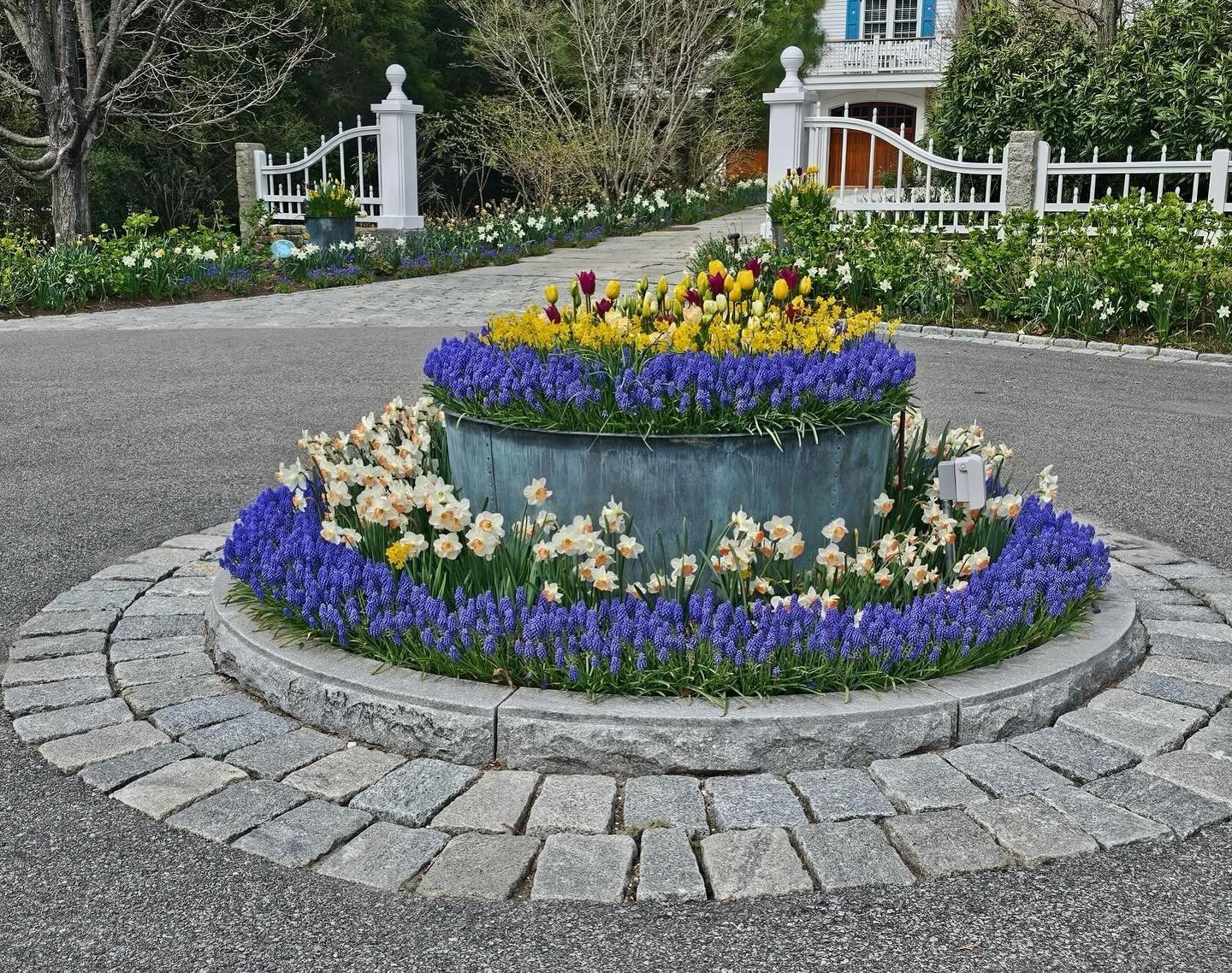 Spring on Cape Cod is captured in this entry display of flowering bulbs created by our maintenance and seasonal color team.