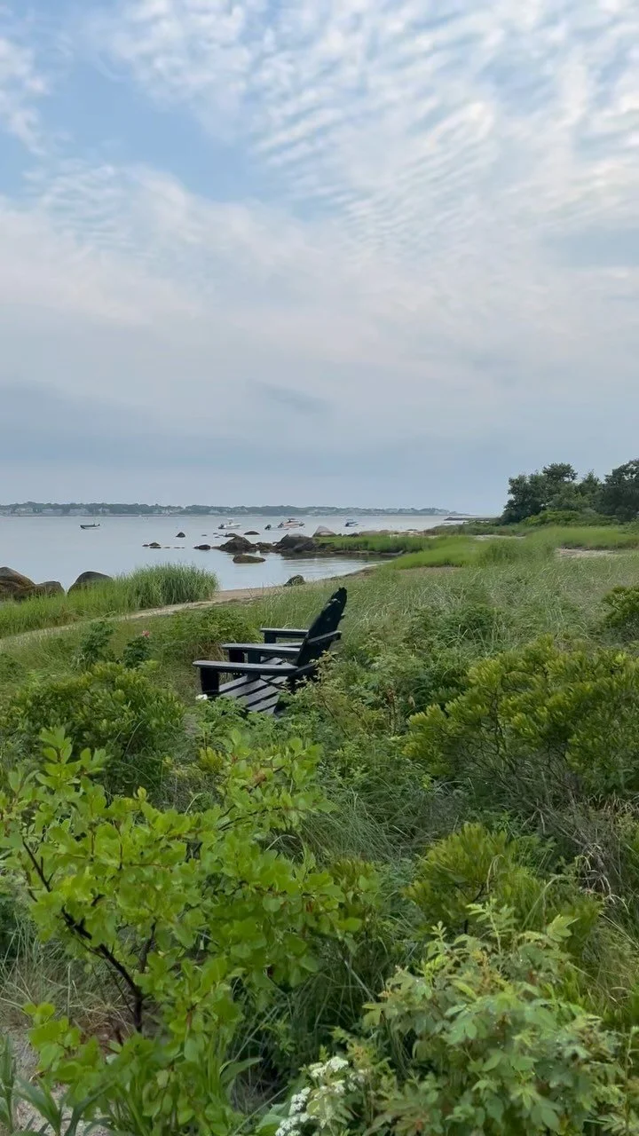 Skid Steer Operators and Shovelers (Snow) — R. P. Marzilli & Co.