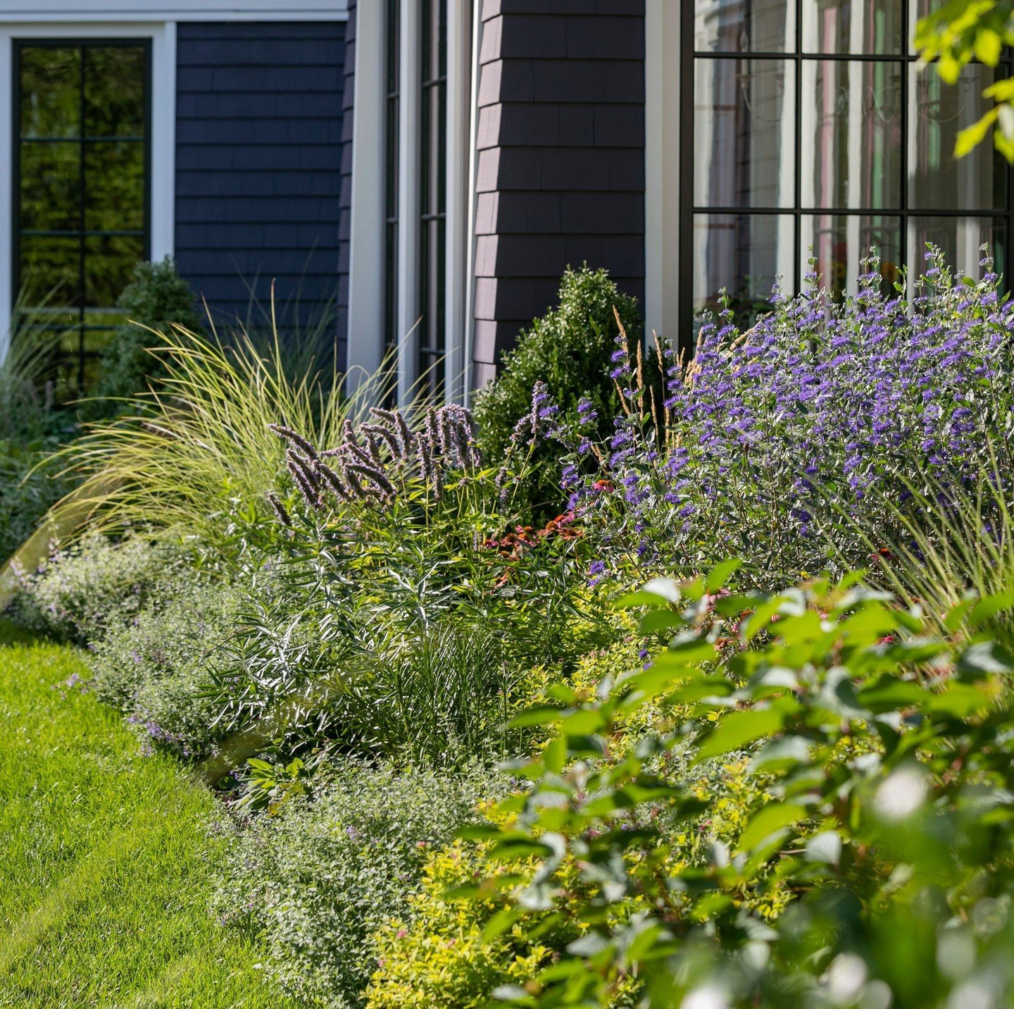 A beautifully layered garden bed with its variety of heights, hues, and textures, effortlessly draws your attention. These intricate, multi-dimensional beds can mimic natural habitats, providing a display of blooming plants throughout the entire seas