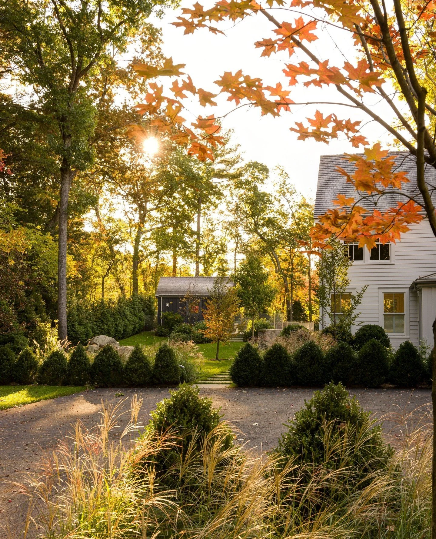 🍂 Autumn has arrived, painting the landscape with brilliant shades of gold, crimson, and amber.
Photo: @RosemaryFletcherPhotography