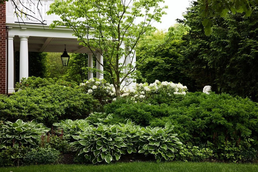 ❄️ Winter is coming, is your landscape ready? Check out Boston Design Guide&rsquo;s new article: &ldquo;Plan, Plant, Protect: What to Do to Prepare Your Landscape for Winter.&rdquo; Inside, we share expert tips on how to wrap up your gardening season