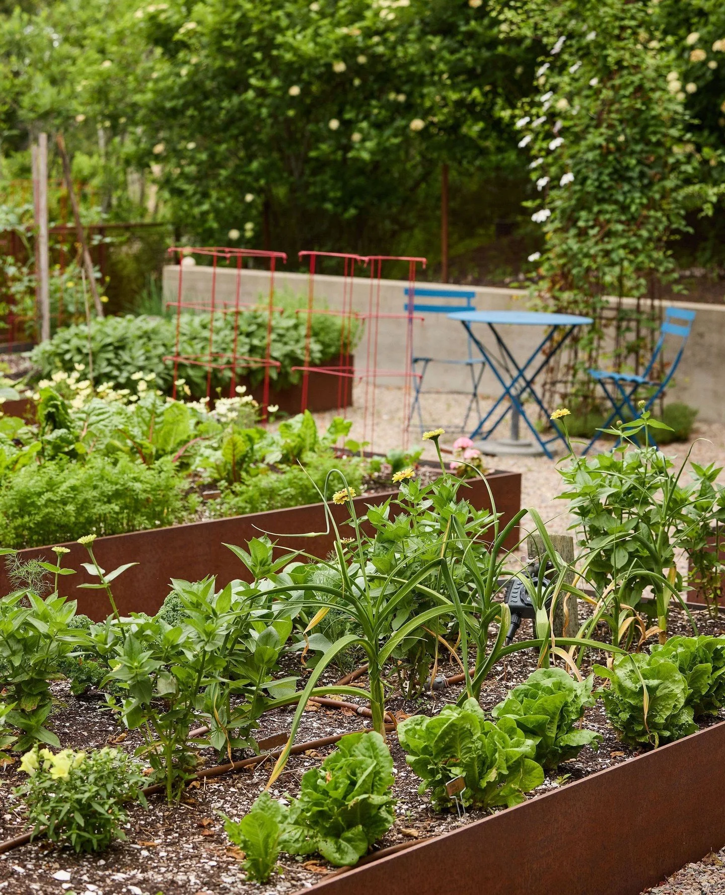 If you're setting new wellness goals in the new year, we're here to assist in creating and maintaining healthy spaces in your landscape, such as a new vegetable garden. Our dedicated team at @botanicalandcare will take care of every aspect from desig