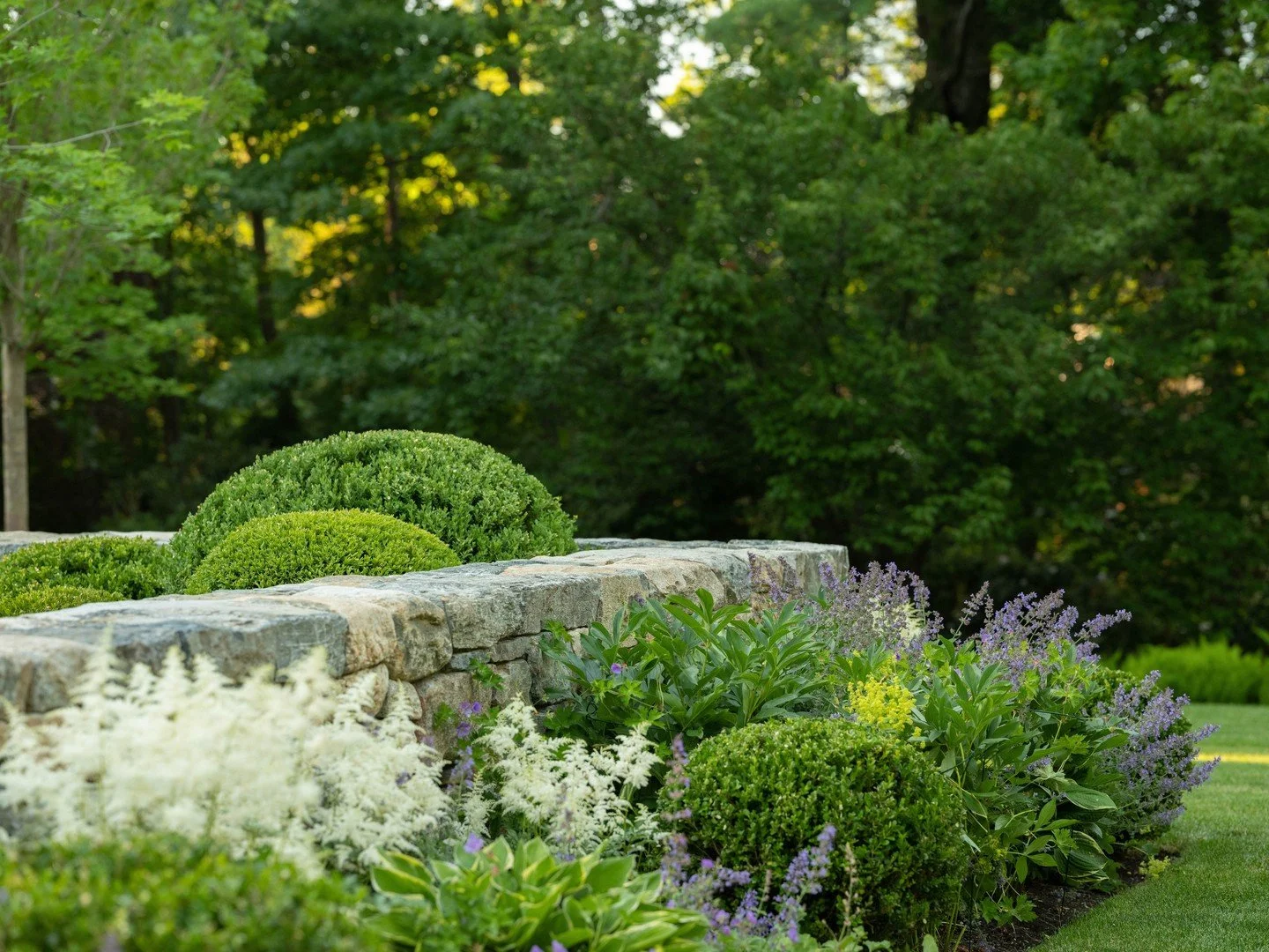 A perennial garden hugs a stone wall along a garden path at this home outside Boston. ⁠
⁠
Photography: @landinophoto⁠
Landscape Architecture: @dangordonla