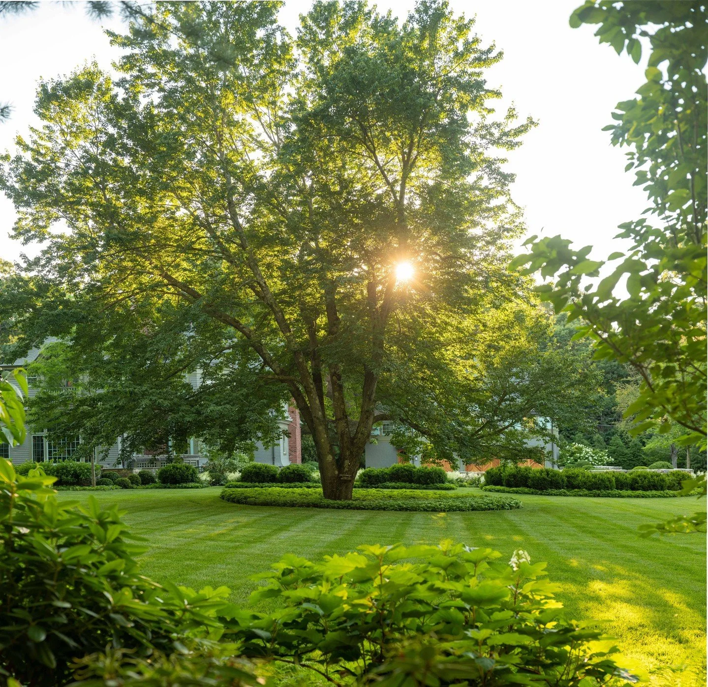 ⁠Are you passionate about tree care? We're hiring for a Director of Arbor Care at our headquarters in Medway. ⁠
⁠
⁠Learn more and apply at the link in bio 🔗⁠
⁠
Landscape design: Dan Gordon Landscape Architects⁠
Photo: Neil Landino Photography