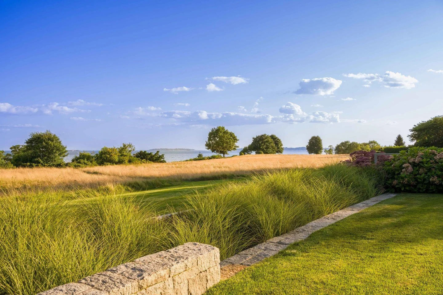 Grasses found throughout this North Shore property sway in the coastal breeze.⁠
⁠
Photography: @rosemaryfletcherphotography⁠
Landscape design: @wearestimson⁠