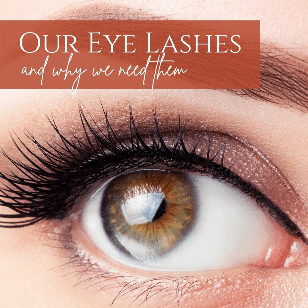 Today is National Lash Day! 

It's a good thing to celebrate and for a very good reason. Lash Day promotes the love and need for true and false eyelashes. This day offers an opportunity to explore the benefits and fashion of lashes. We however, are o