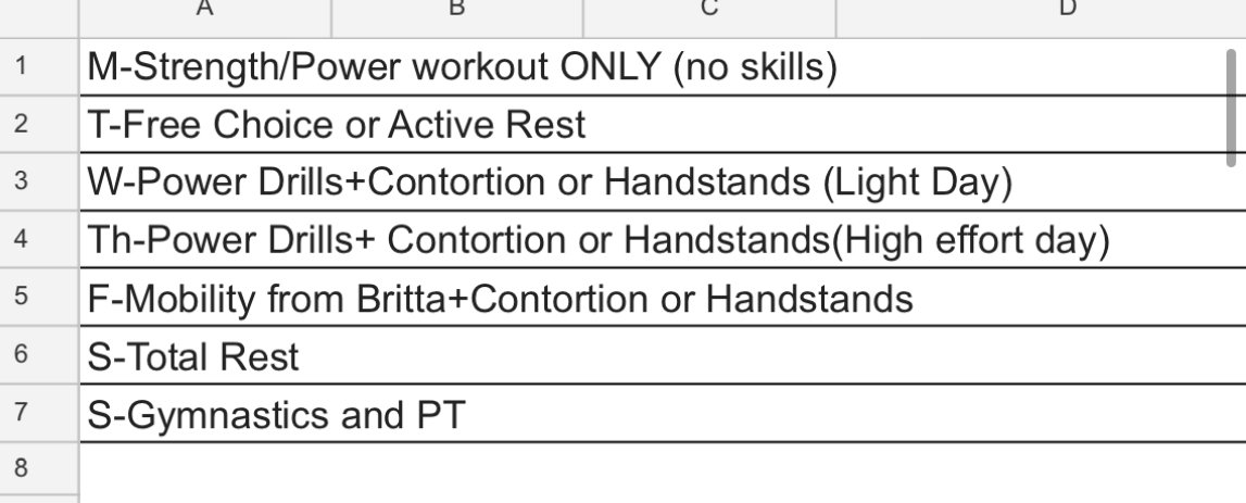 Sample of an athlete's weekly plan