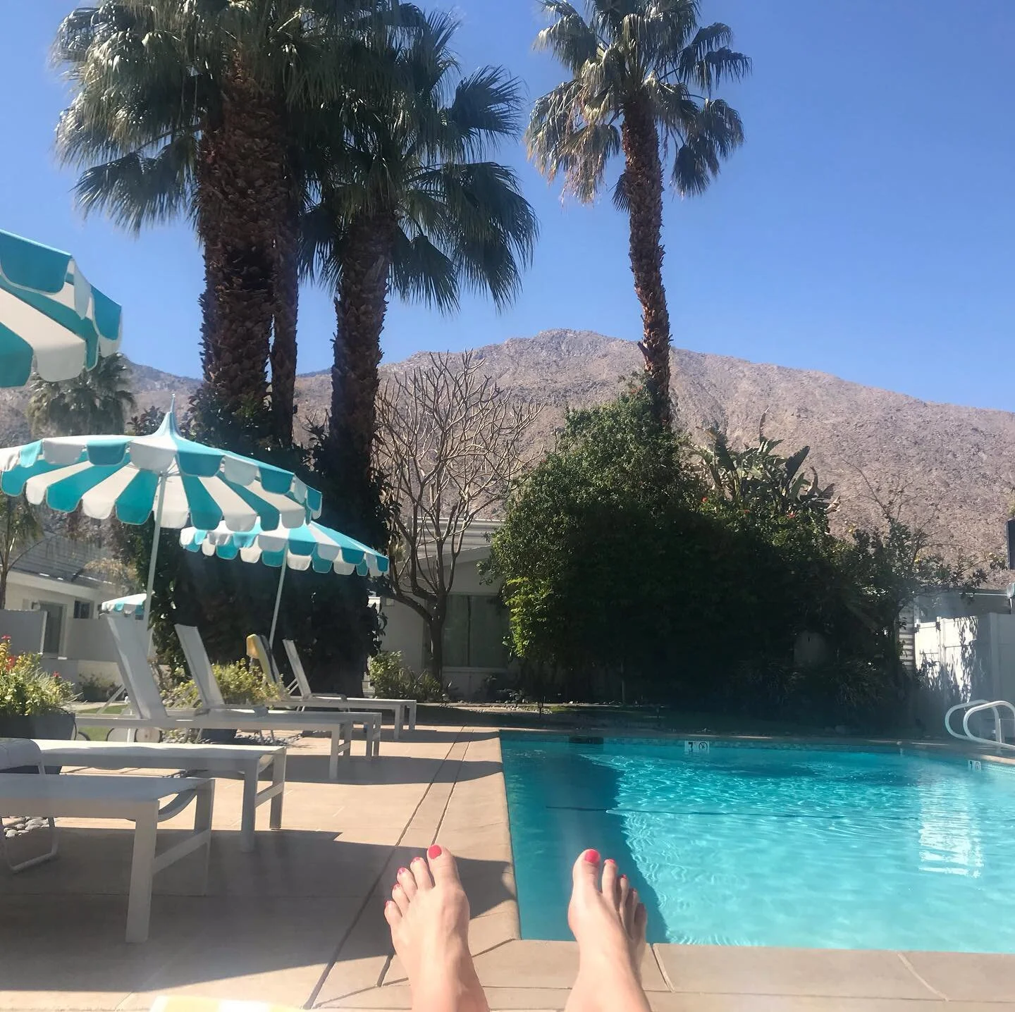 Pool side in Palm Springs, absolute heaven!!!