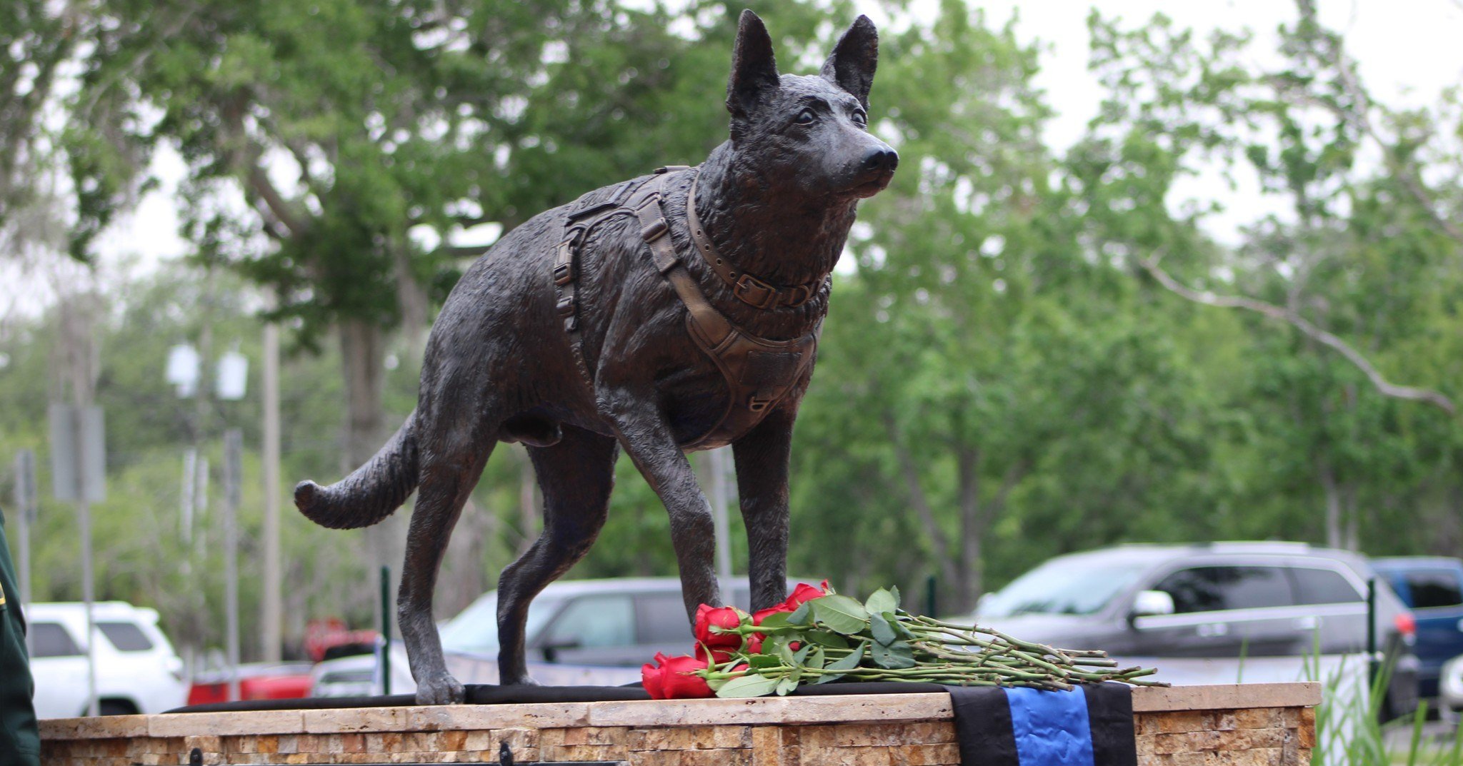 National Police Week also honors K9 officers who, alongside their handlers, dedicated many years to keeping their communities safe. This morning, 31 K9s were honored at the Nam Knights Regional K-9 Memorial at the Temple Terrace Police Department. Of