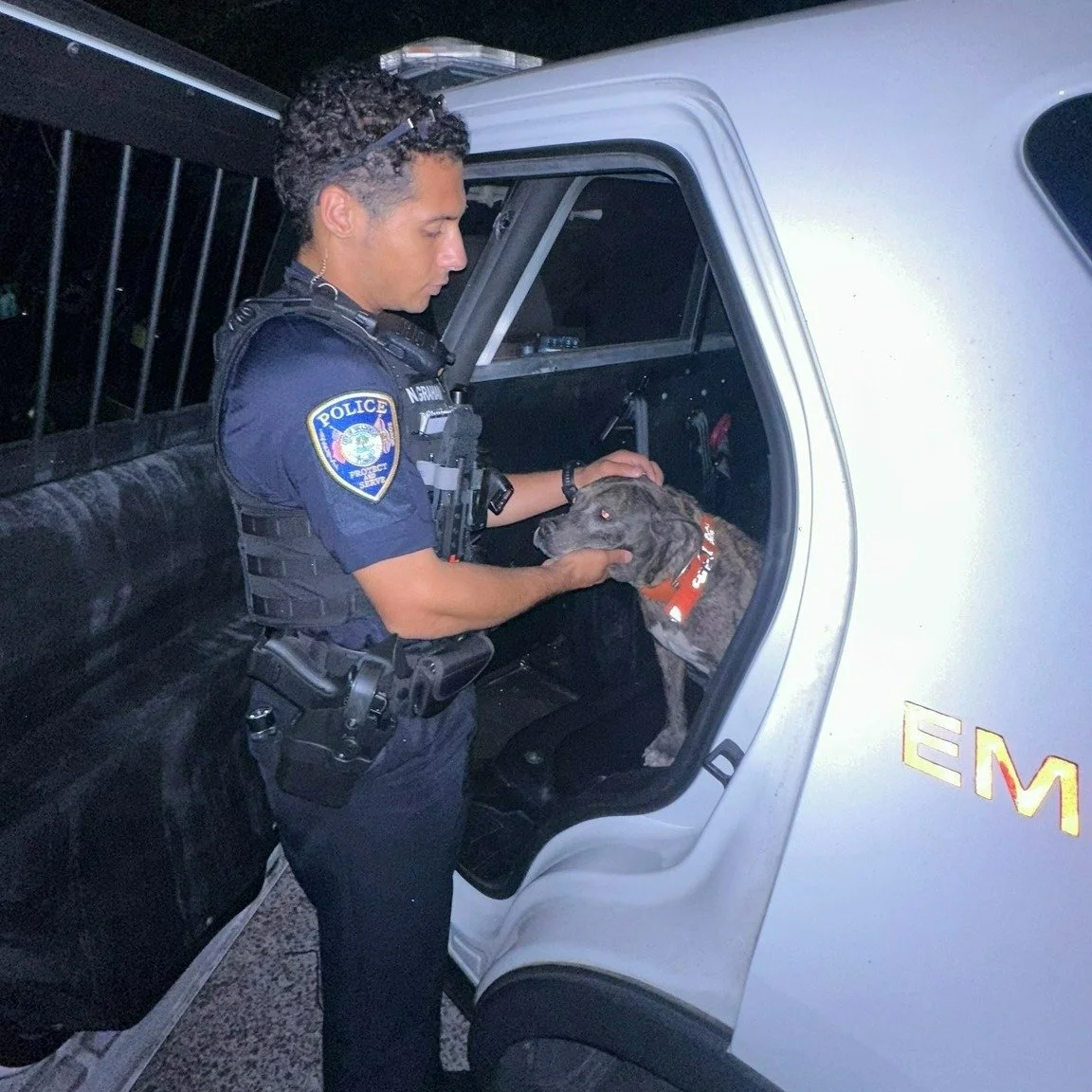 Is she yours? Officer Graham responded to a report of several &quot;aggressive&quot; dogs wandering on 27th St E early Wednesday morning and found this sweetie. He says she ran up to his patrol vehicle and hopped into the back seat. When her owner co