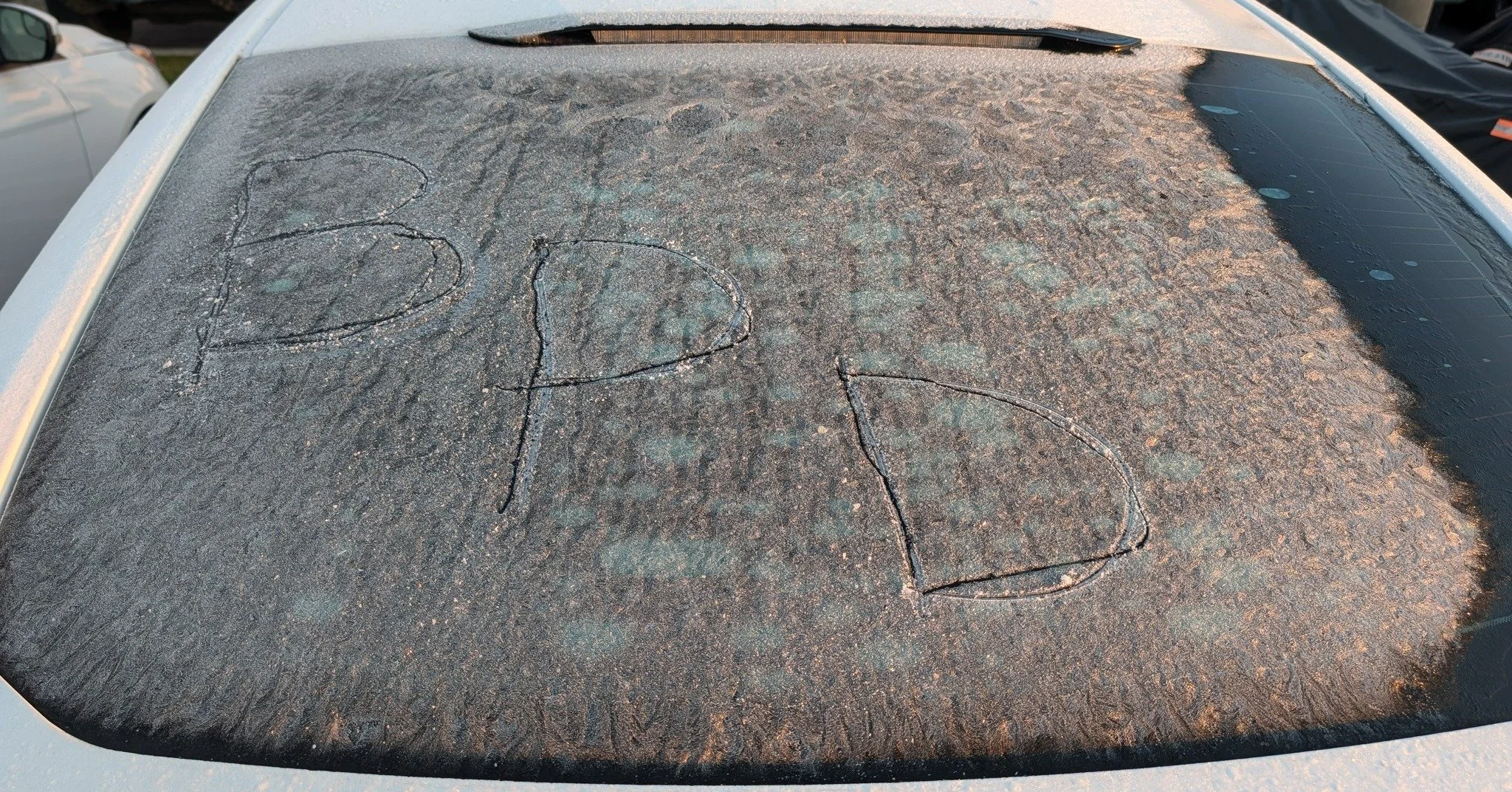 🥶 Frost check! How many of you Floridians rooted around in your purses or pockets to find something to scrape ice off your windshields this morning? 🚔