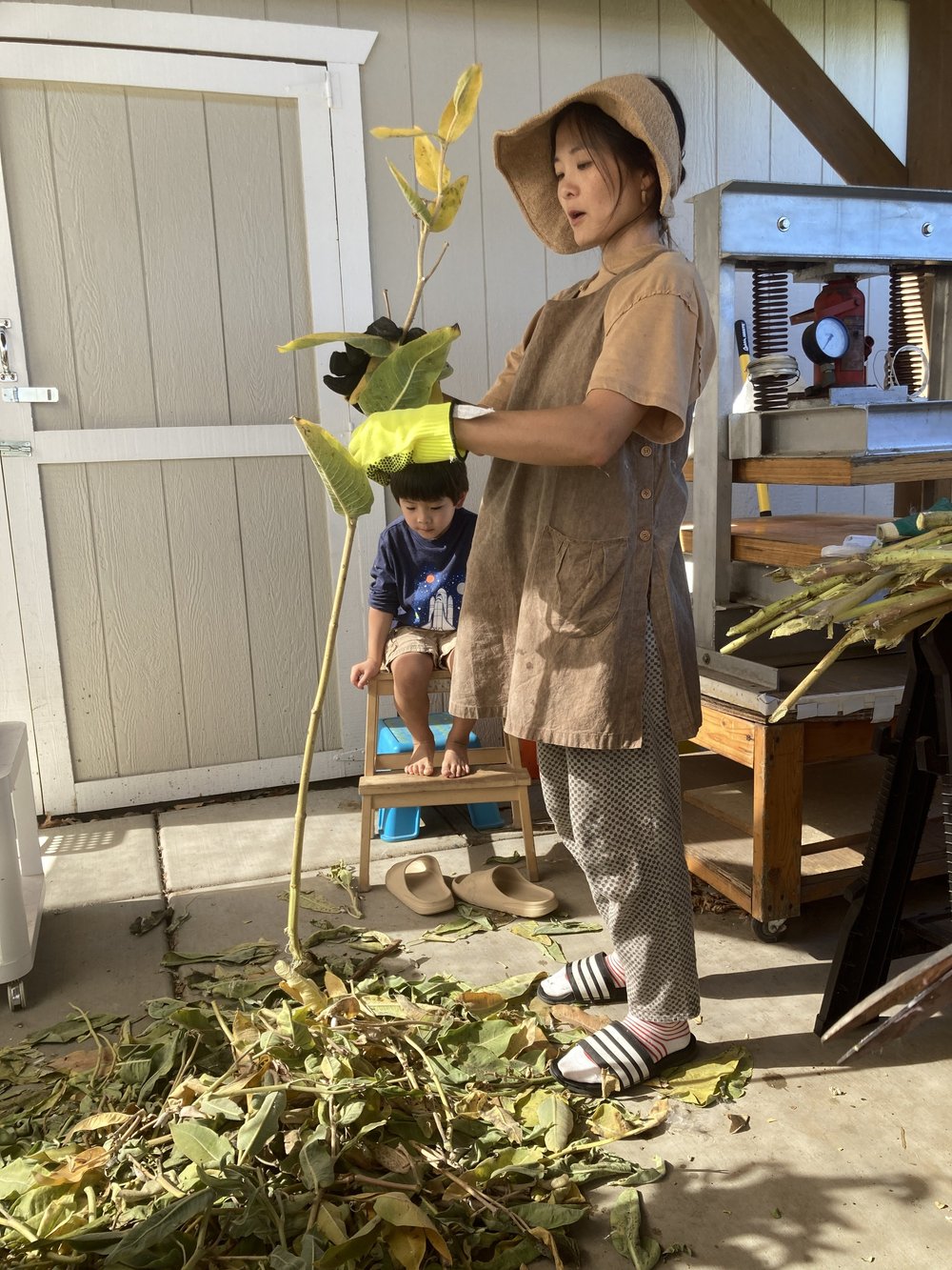 steph with tall milkweed stalk.JPG