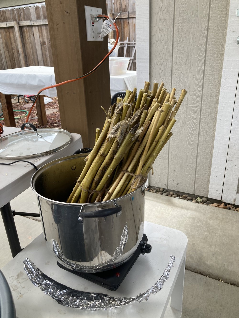 long stalks in steamer.JPG