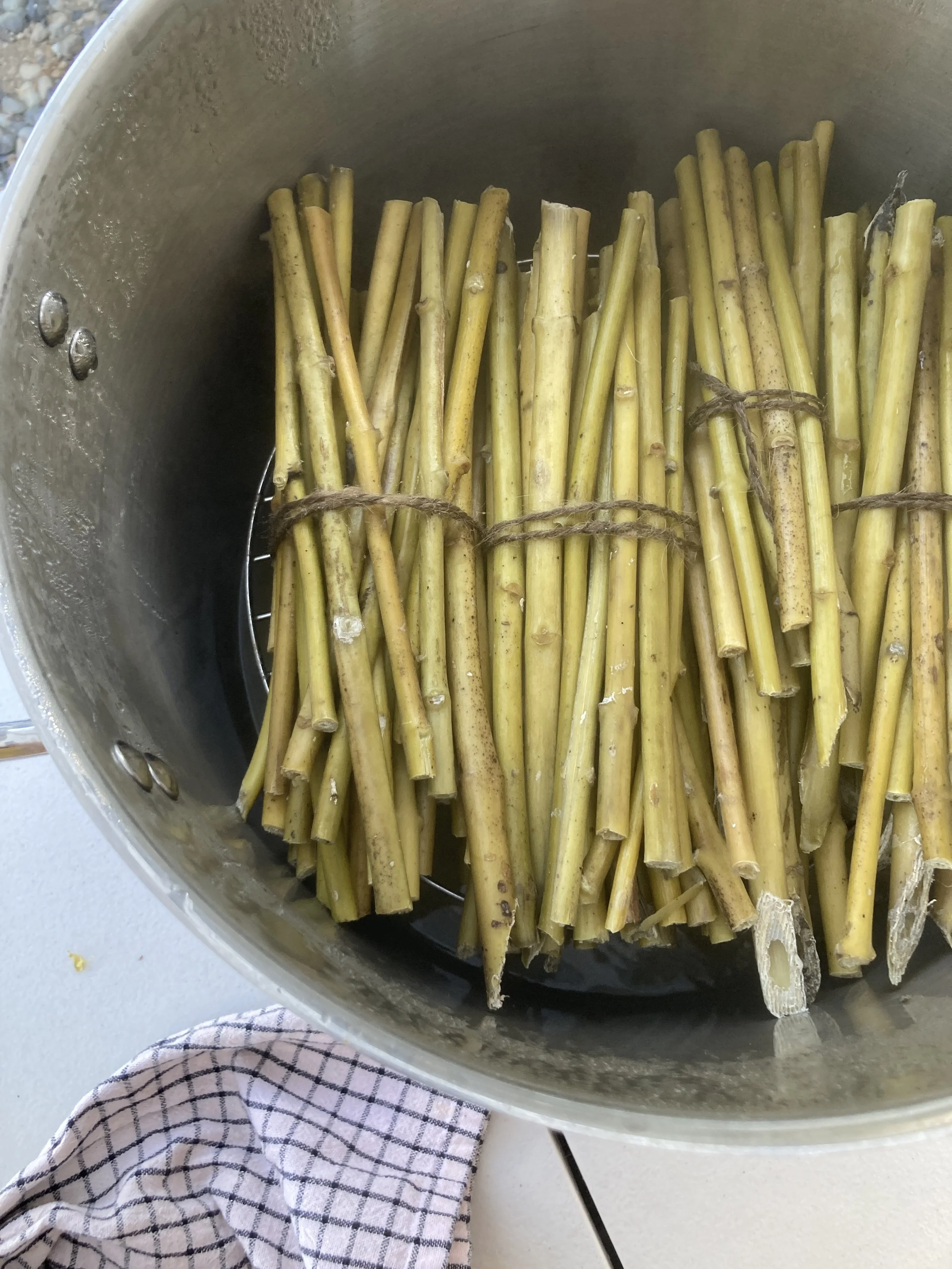 Processing Milkweed Together