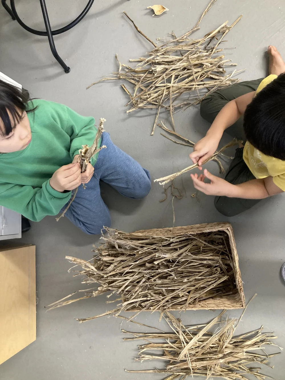 kids sorting dried stalks.JPG