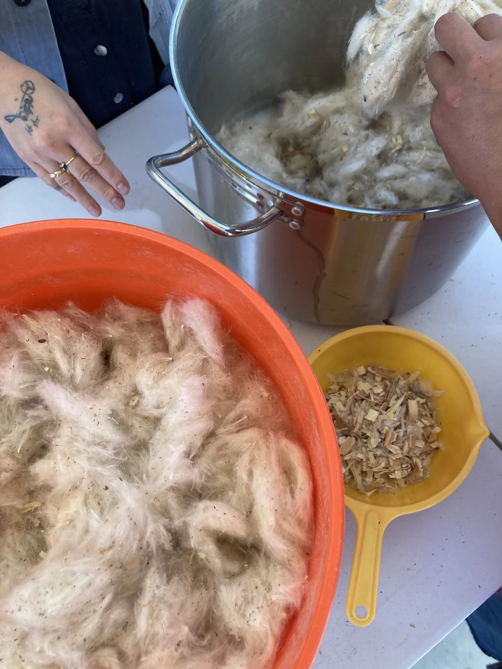 processing fluff.JPG