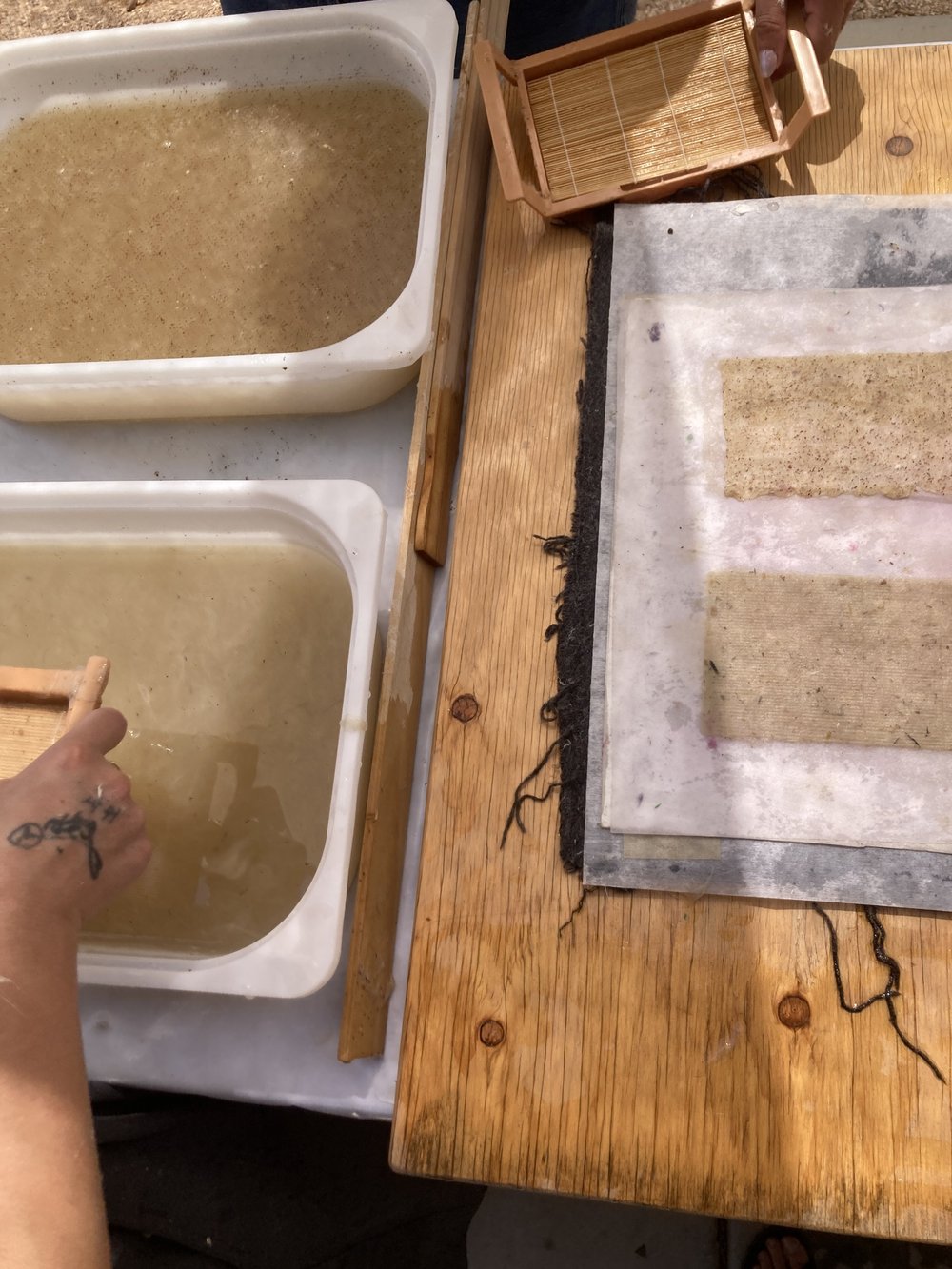 sheetforming with baby sugetas.JPG