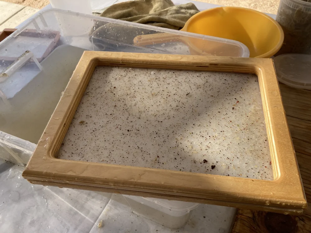 fluff paper in mould closeup.JPG