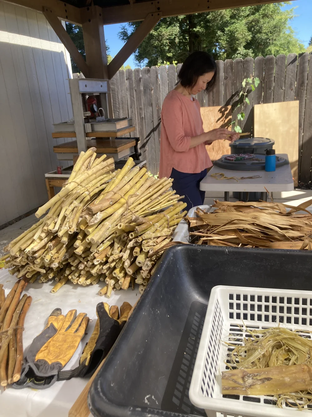 elizabeth stripping bark.JPG