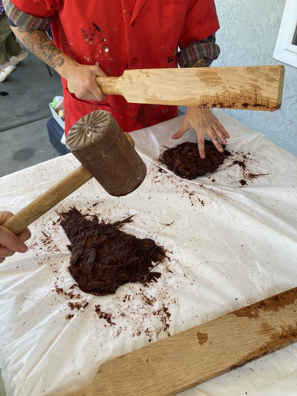 handbeating hibiscus.JPG