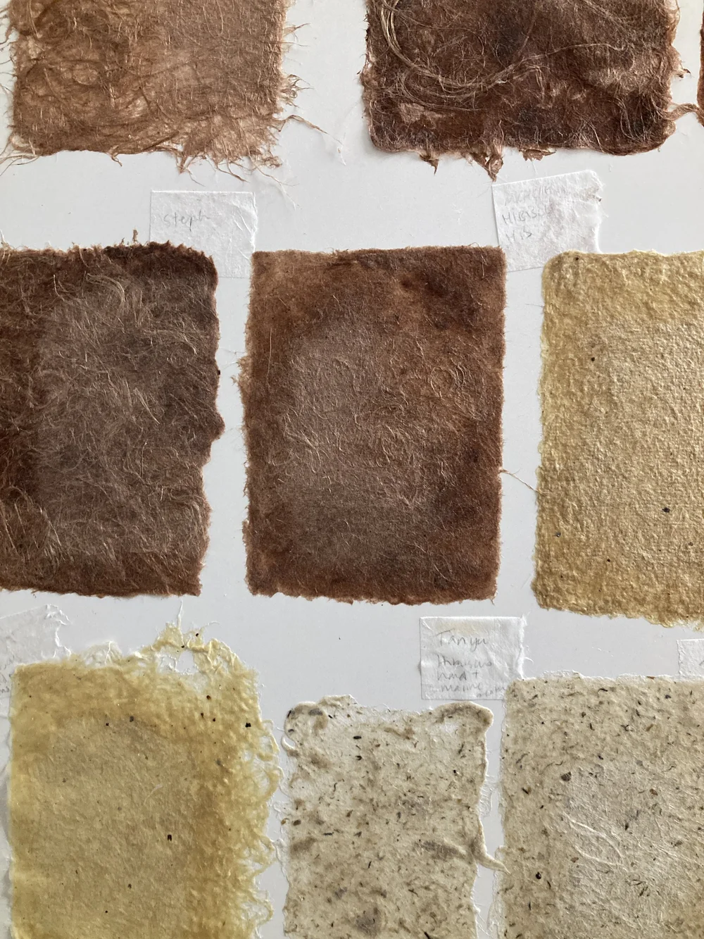 brush dried sheets.JPG