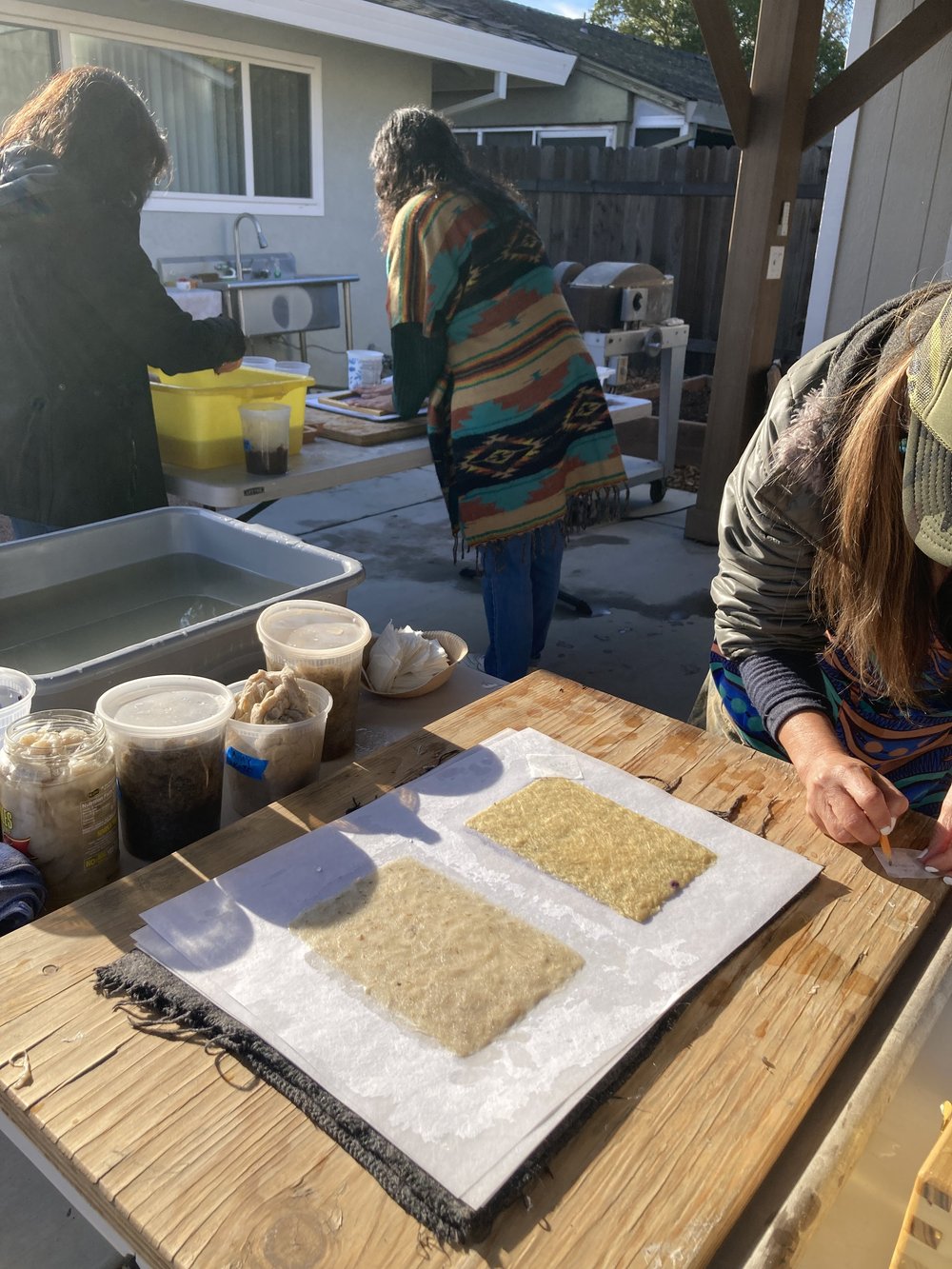 couched milkweed sheets papermaking.JPG