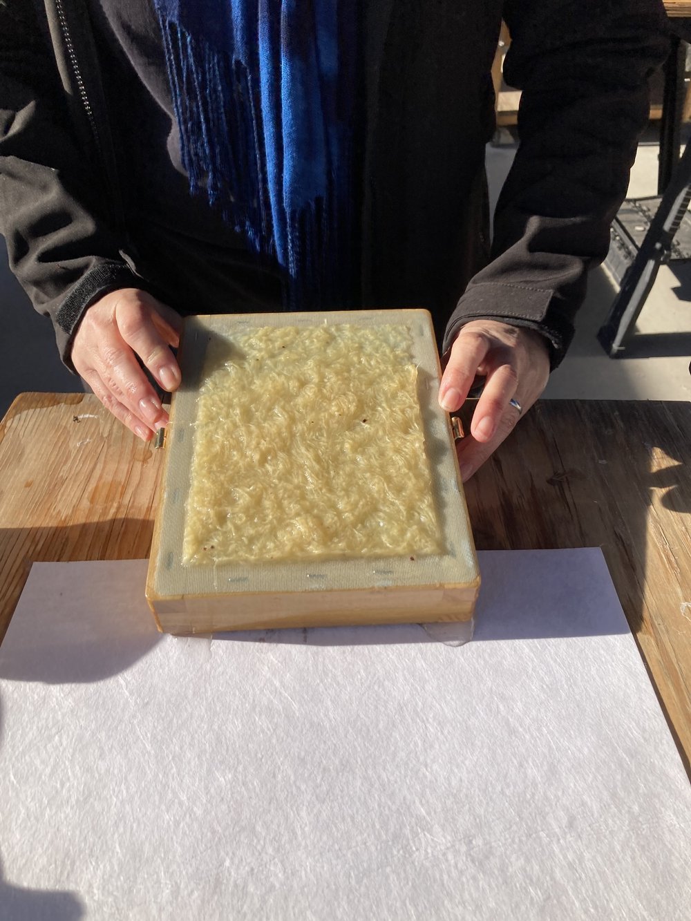 forming floss sheet.JPG