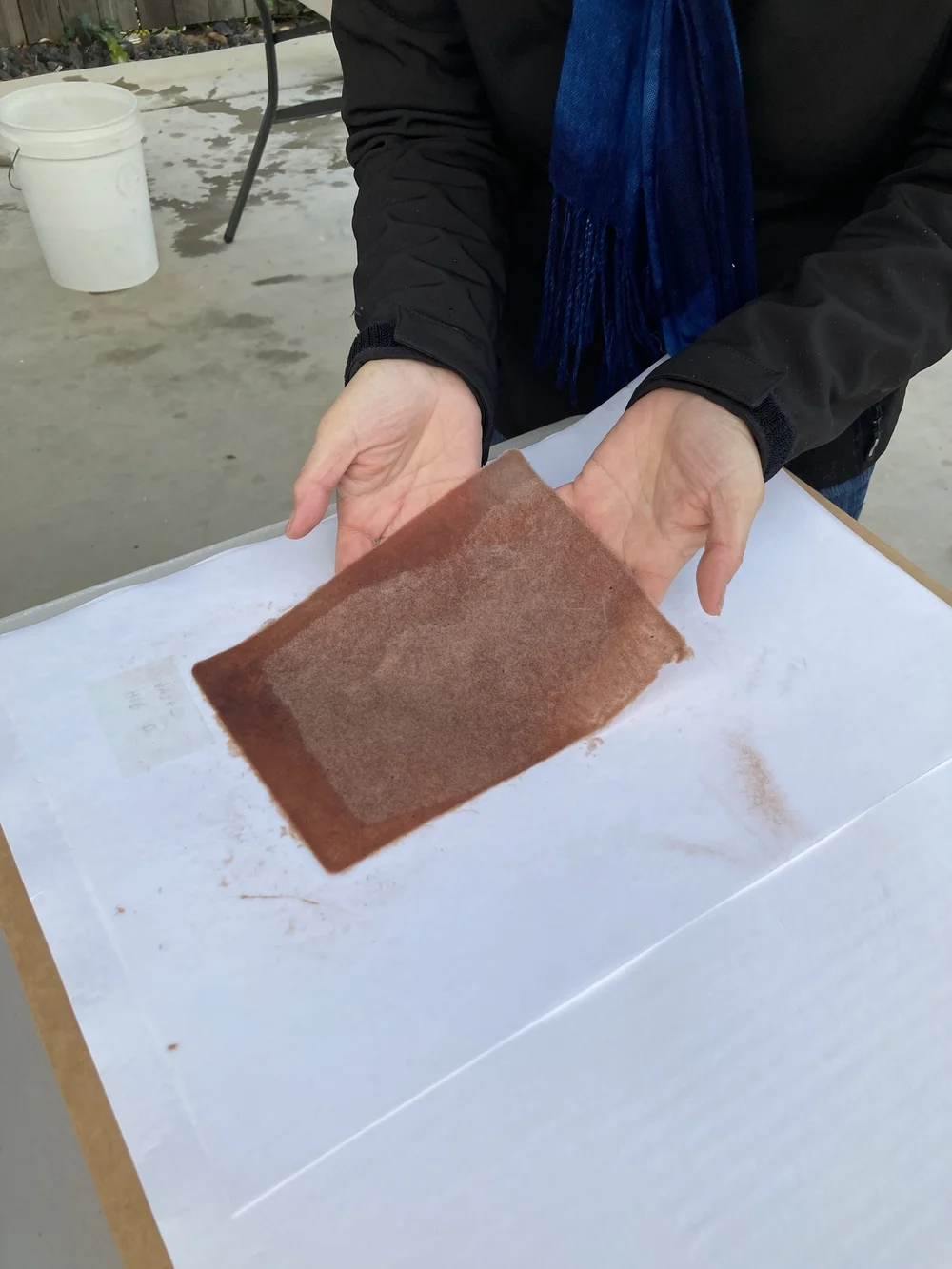 hibiscus sheet pressed.JPG