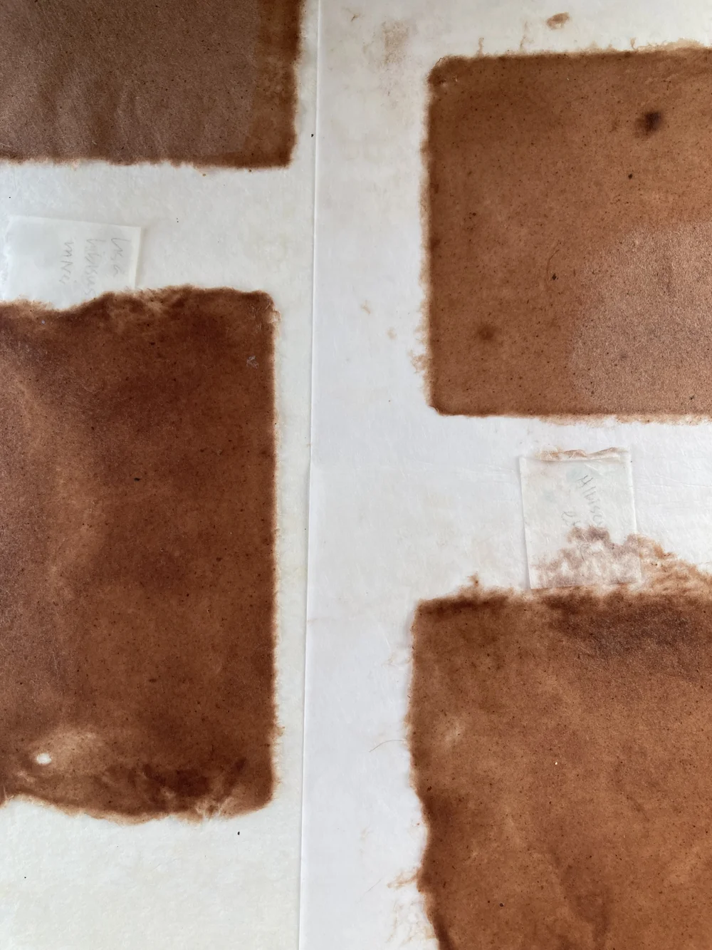 pressed hibiscus sheets.JPG