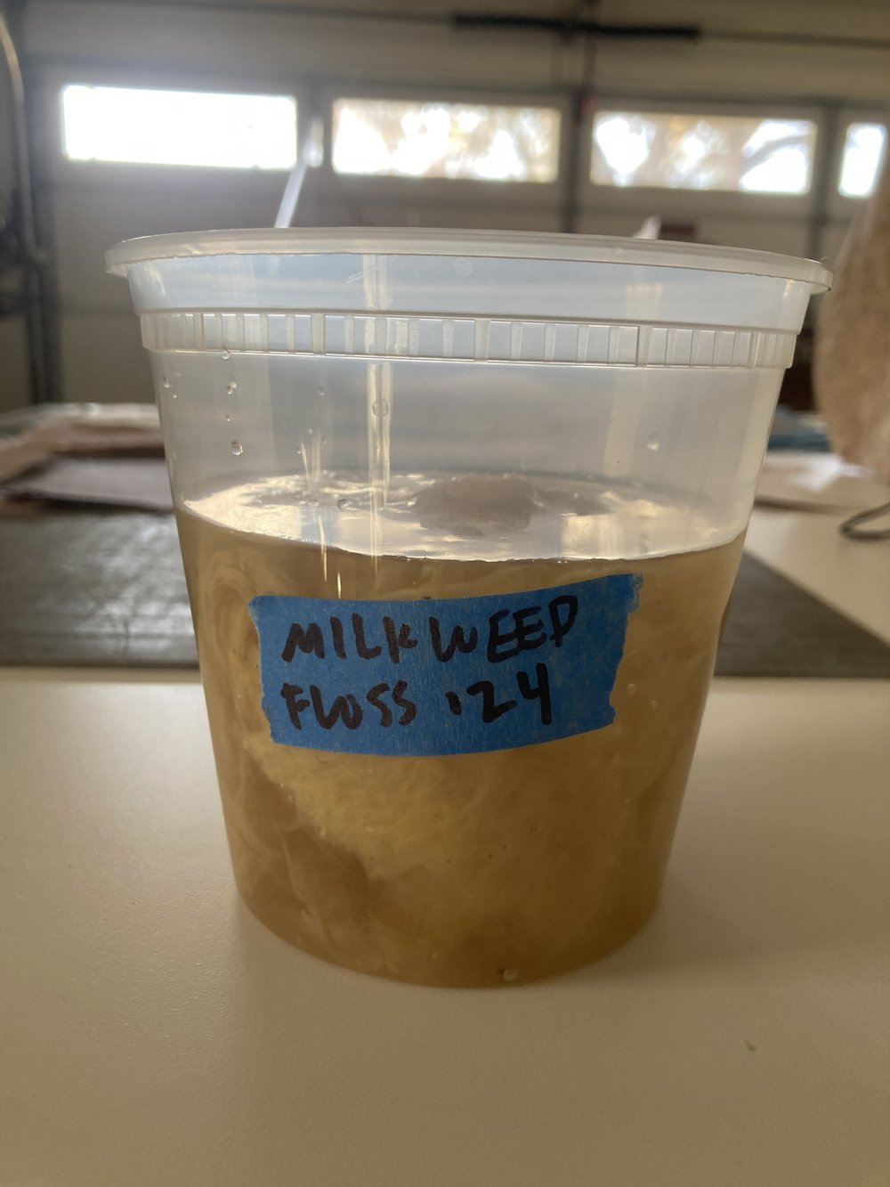 milkweed floss pulp.JPG