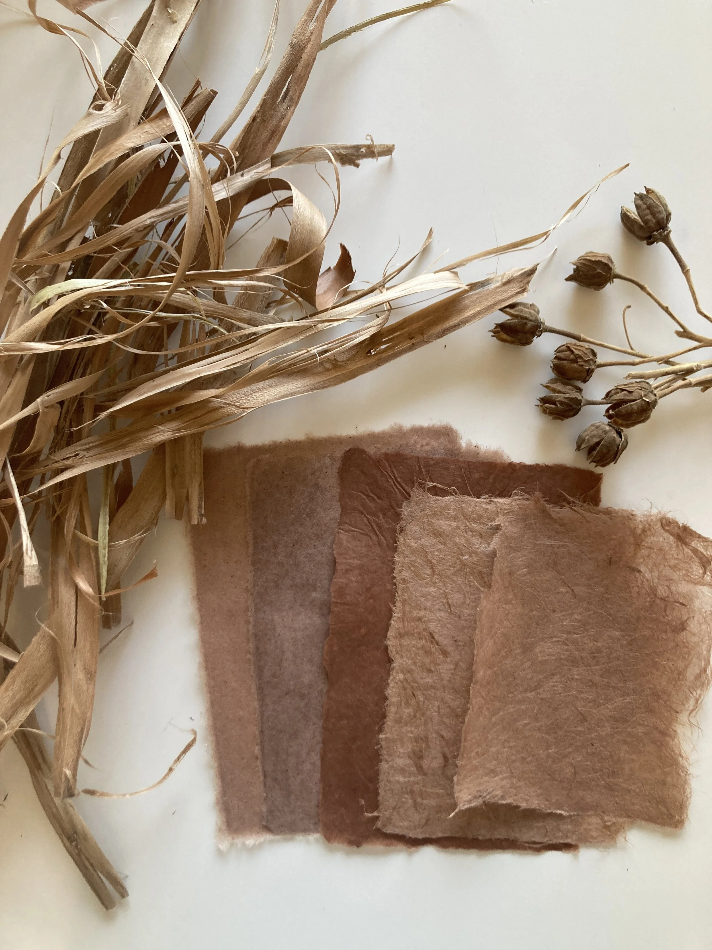 Hibiscus and Milkweed Floss Papermaking As Liberatory Practice