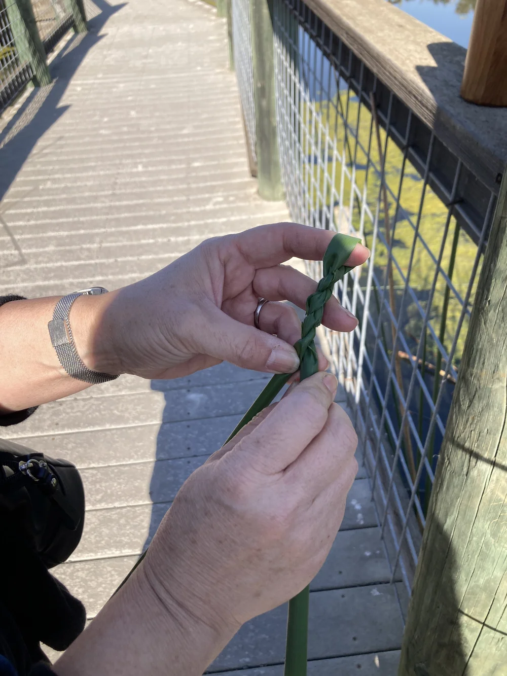 making tule cord.JPG