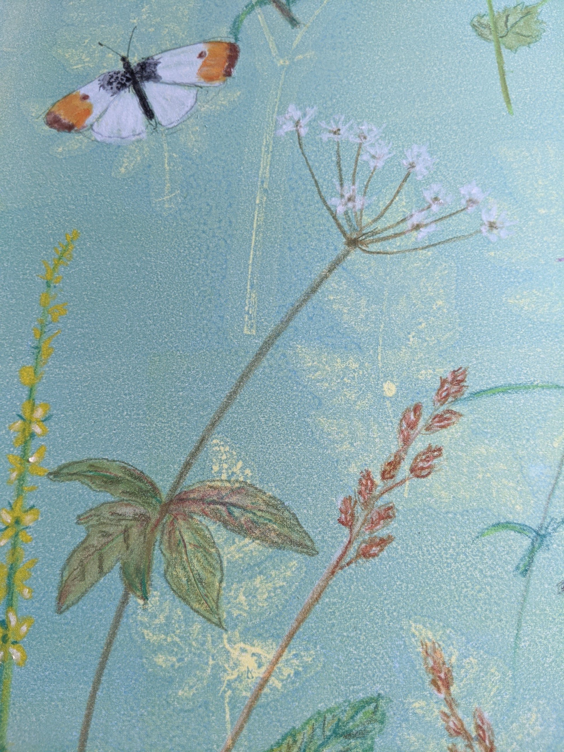 Just Bees and Things and Flowers closse up of monoprint by Jill Poole.jpg