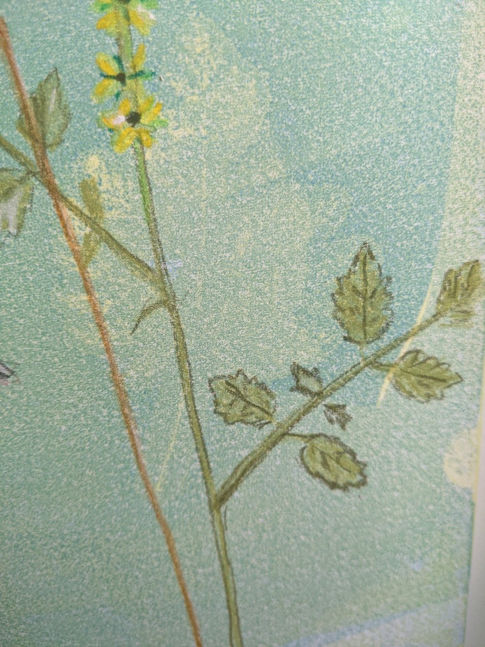 Monoprint by Jill Poole 'Just Bees and Things and Flowers'.jpg