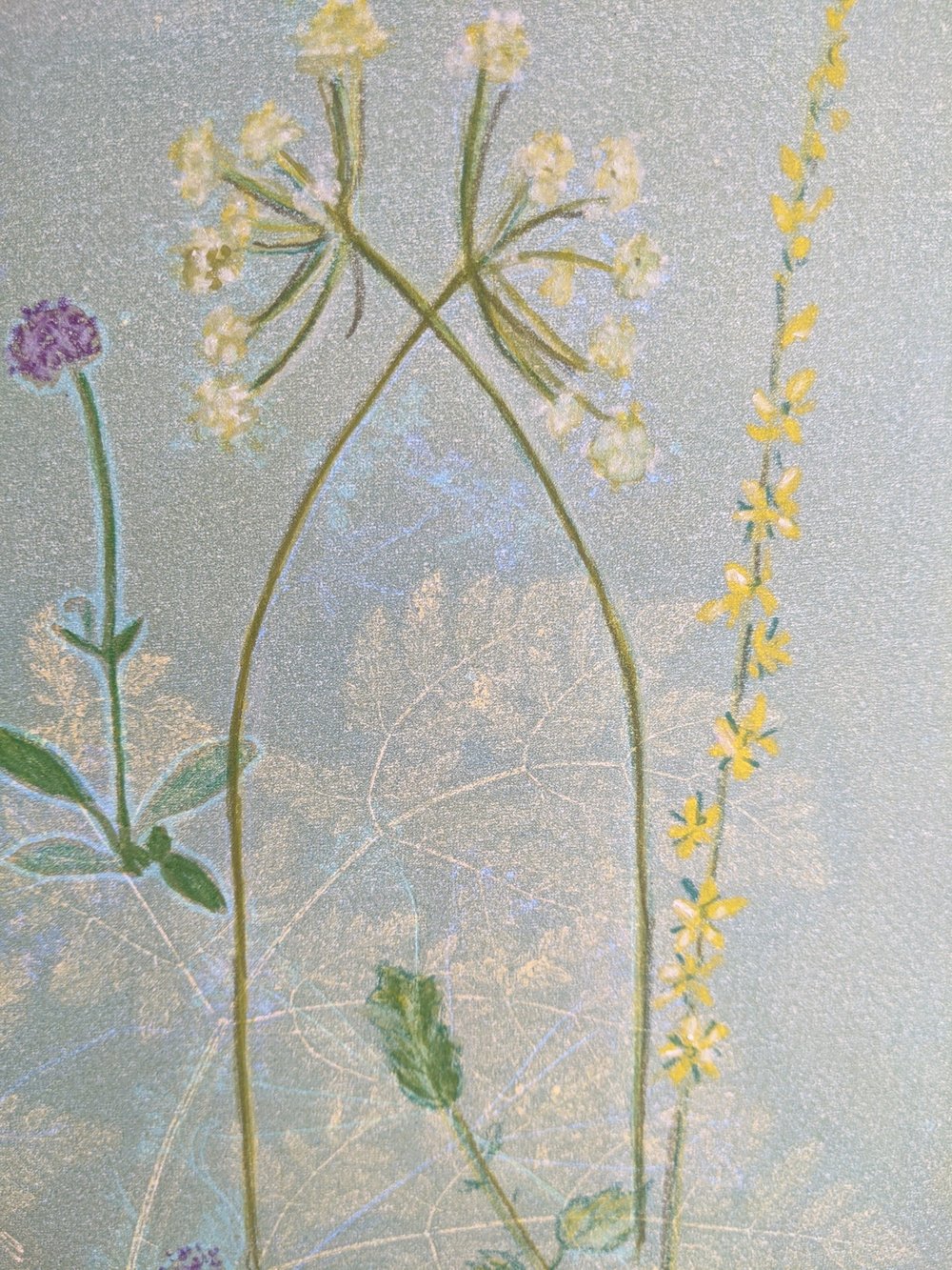 Monoprint artwork 'Just bees and things and flowers' by Jill Poole .jpg