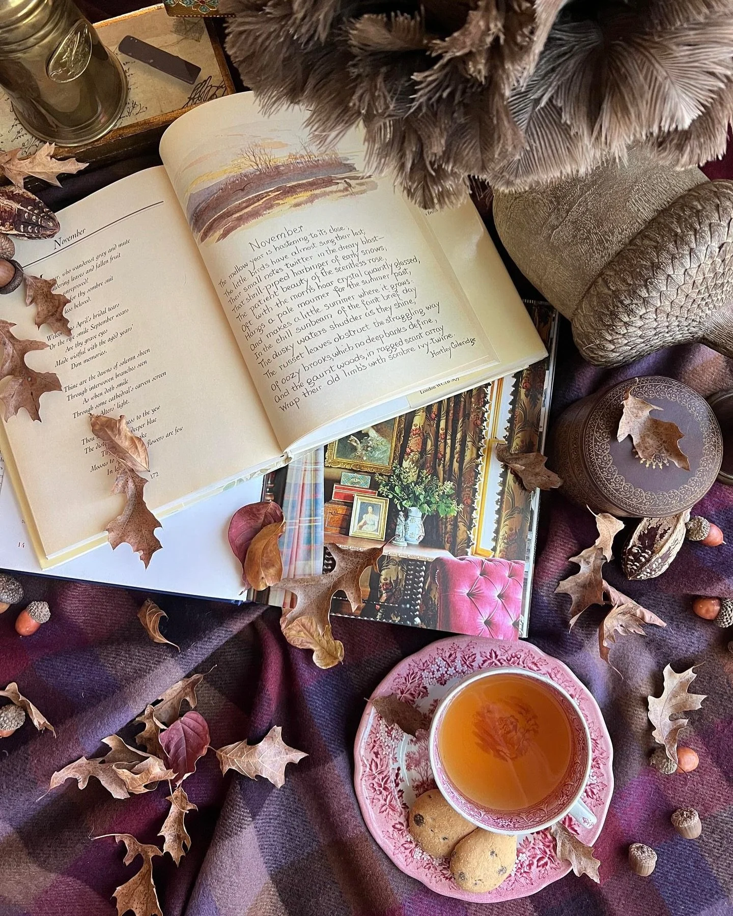 SunD🤎Y morning vibe🦃