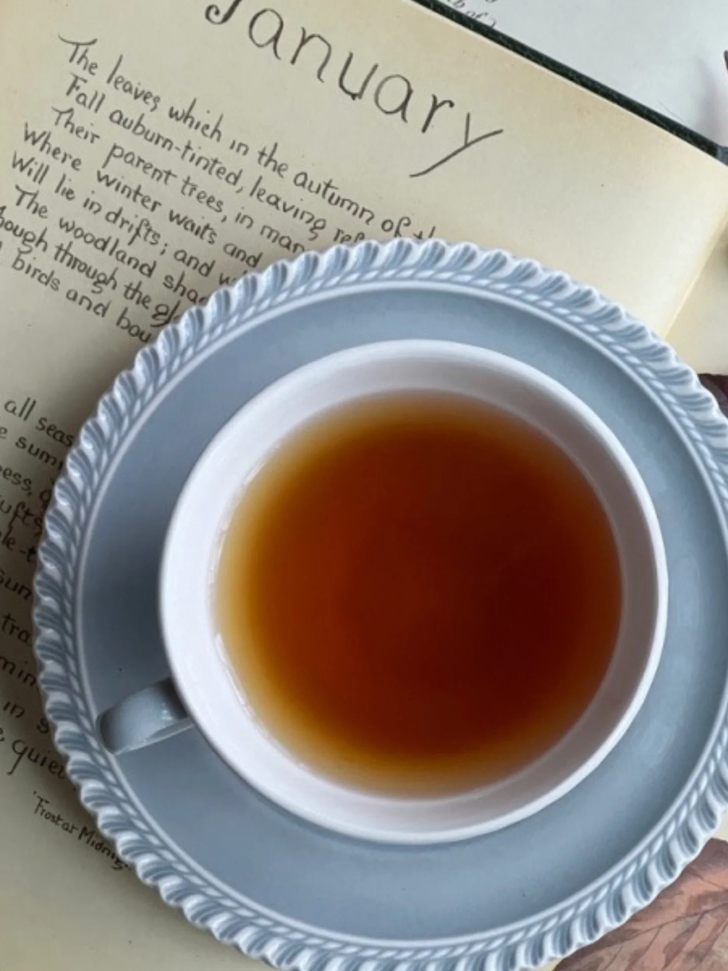 What book are YOU bringing into 2️⃣0️⃣2️⃣6️⃣? For me, it's Buckeye🎉