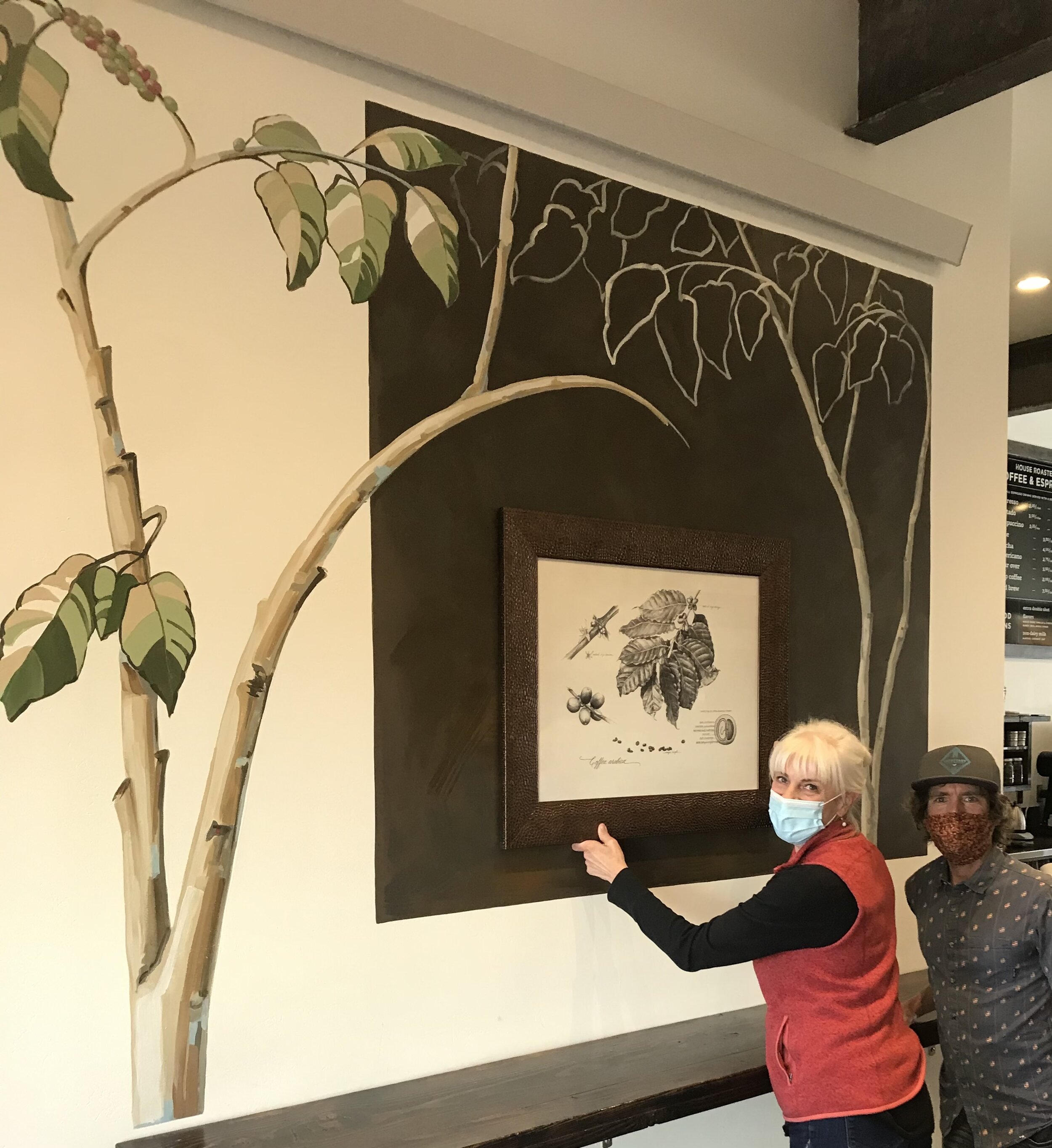 Wall Mural for Tributary Coffee in Gunnison, CO.
Graphite botanical of Coffea arabica.