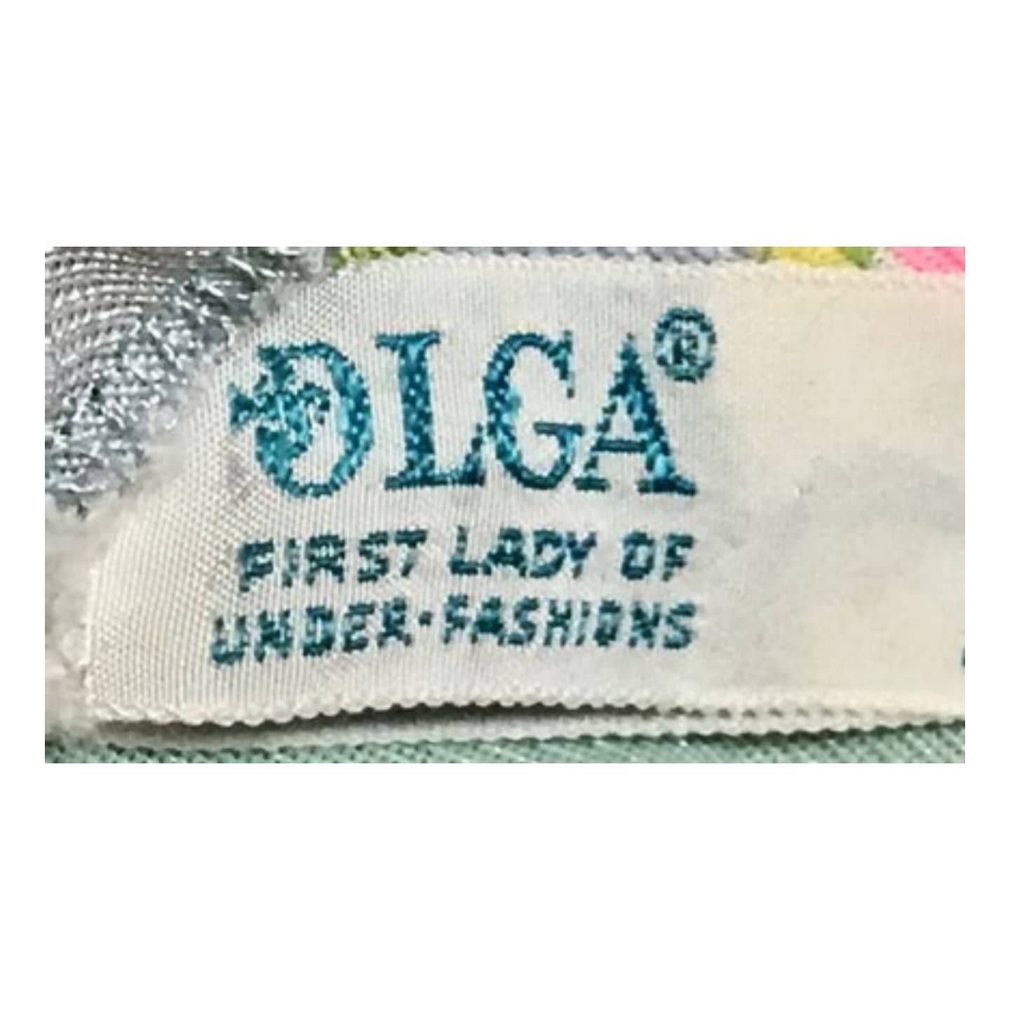 Beginning with a $5 sewing machine rental and $5 of material OLGA the Fortune 500 company began. Becoming one of the most well known names for women's #underfashion in the nation.
 
 #olga first #lady of Underfashions #book #nonfiction #motheranddaug